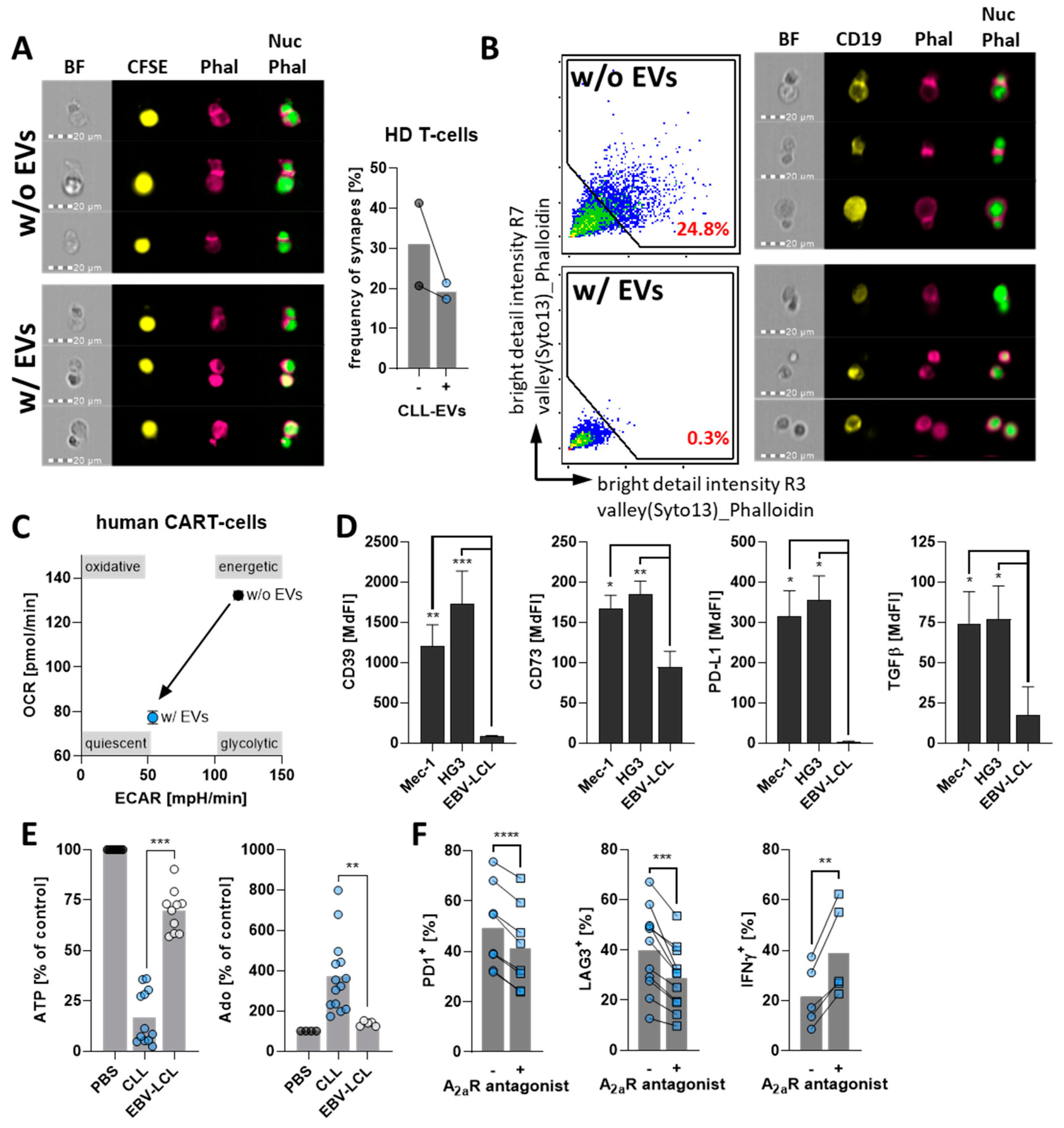 Cells 11 02176 g005a