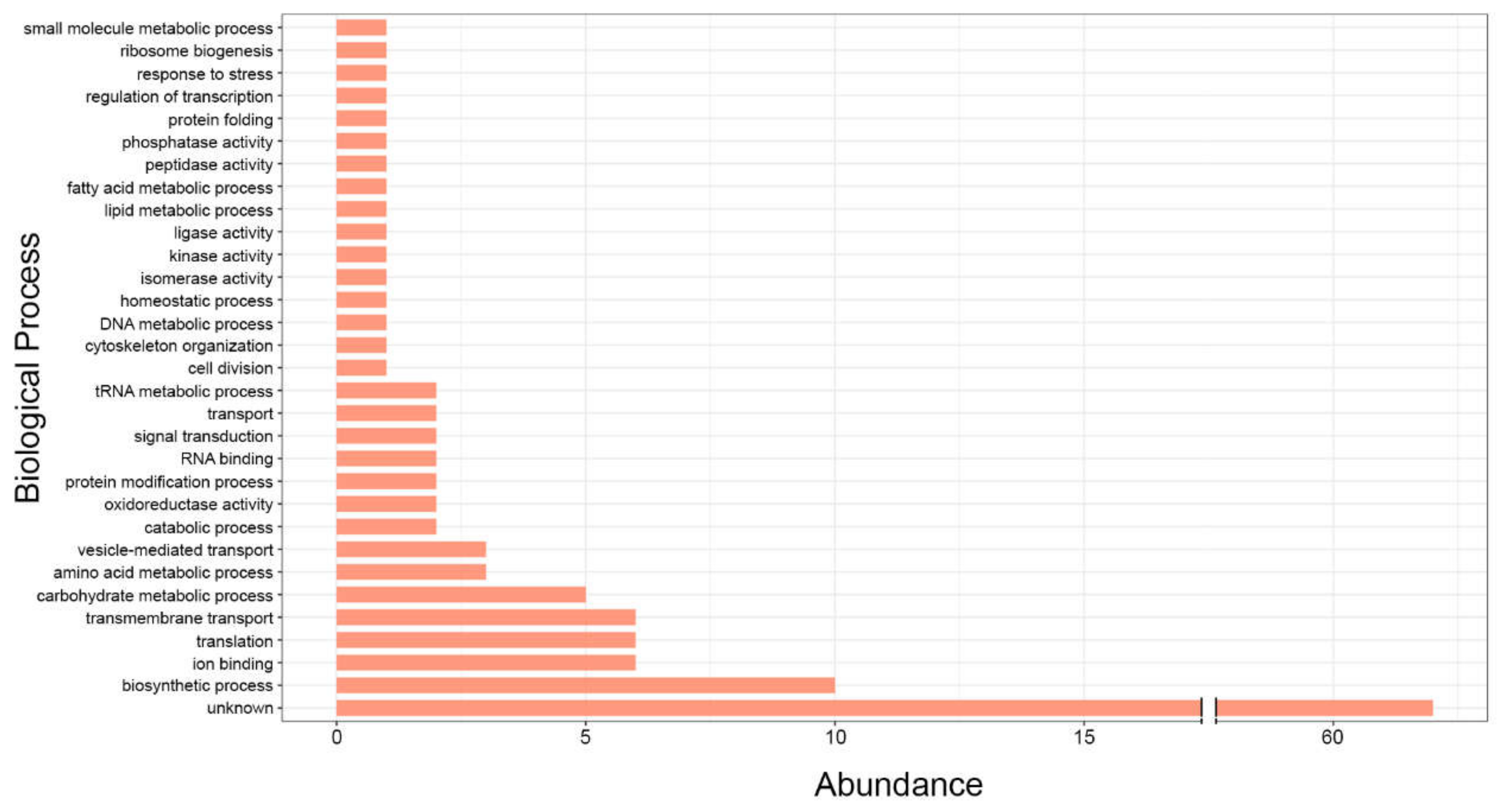 Cells 11 02184 g001 Cells 11 02184 g001