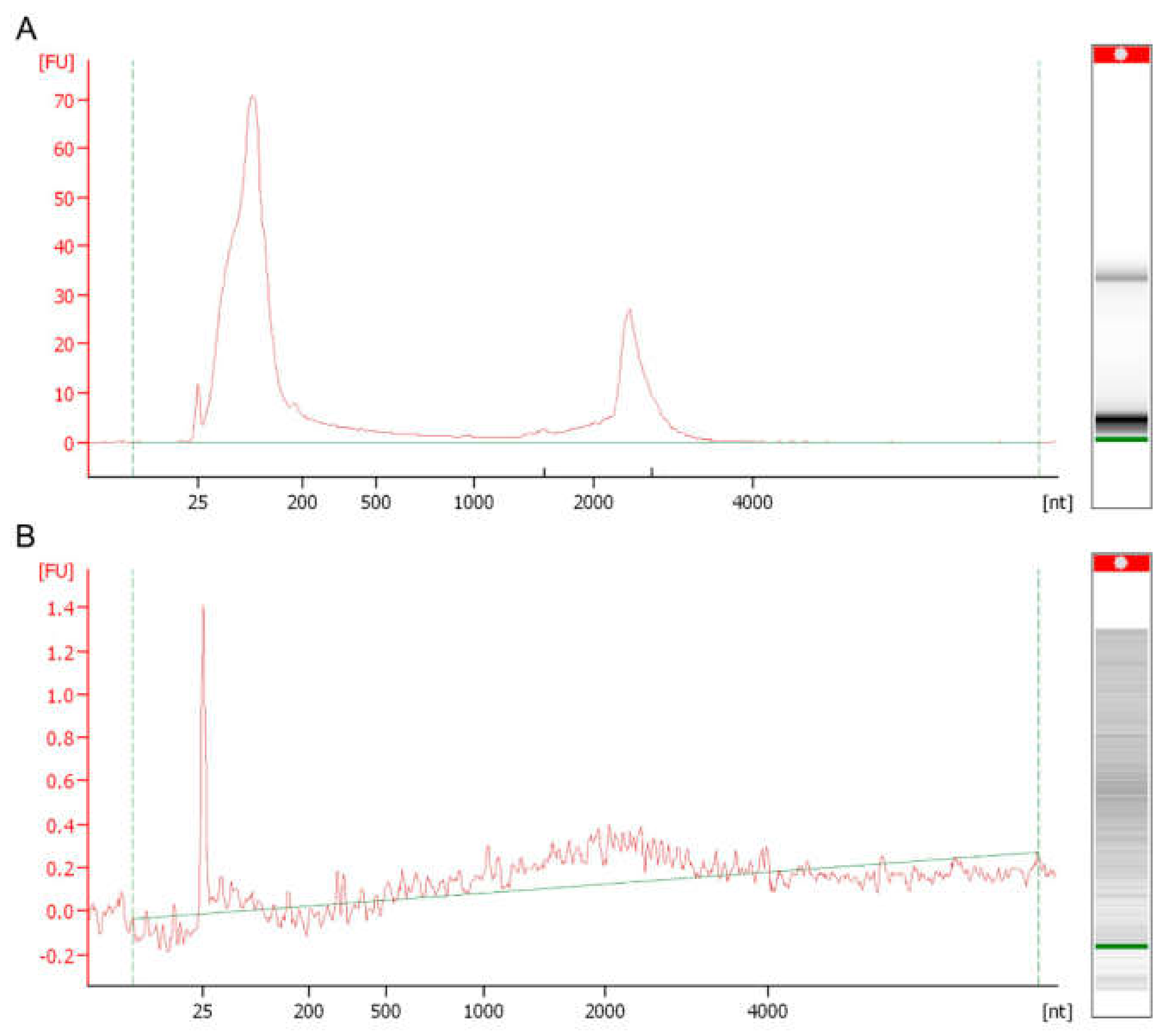 Cells 11 02184 g003 Cells 11 02184 g003