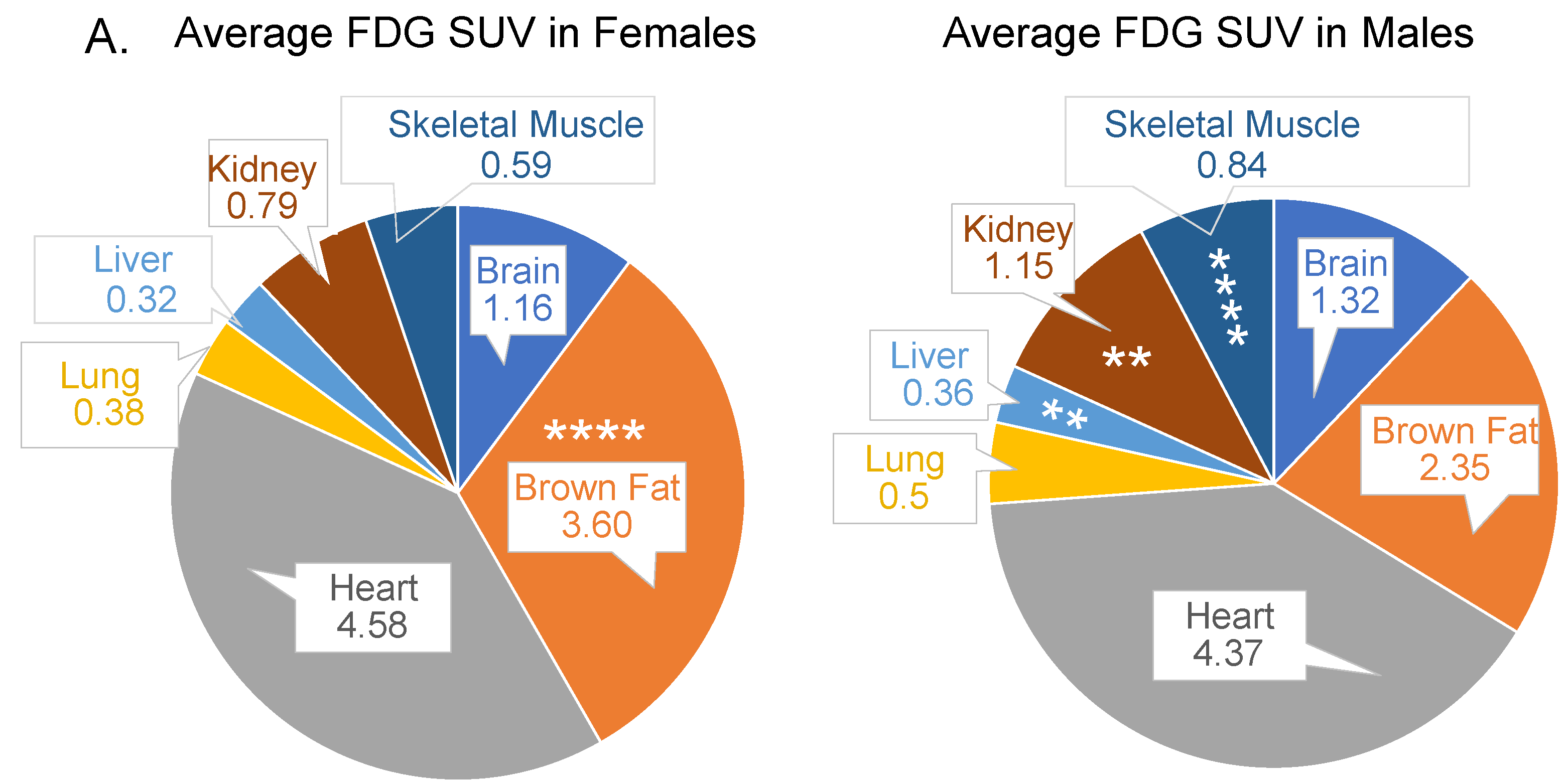 Cells 11 02217 g001a