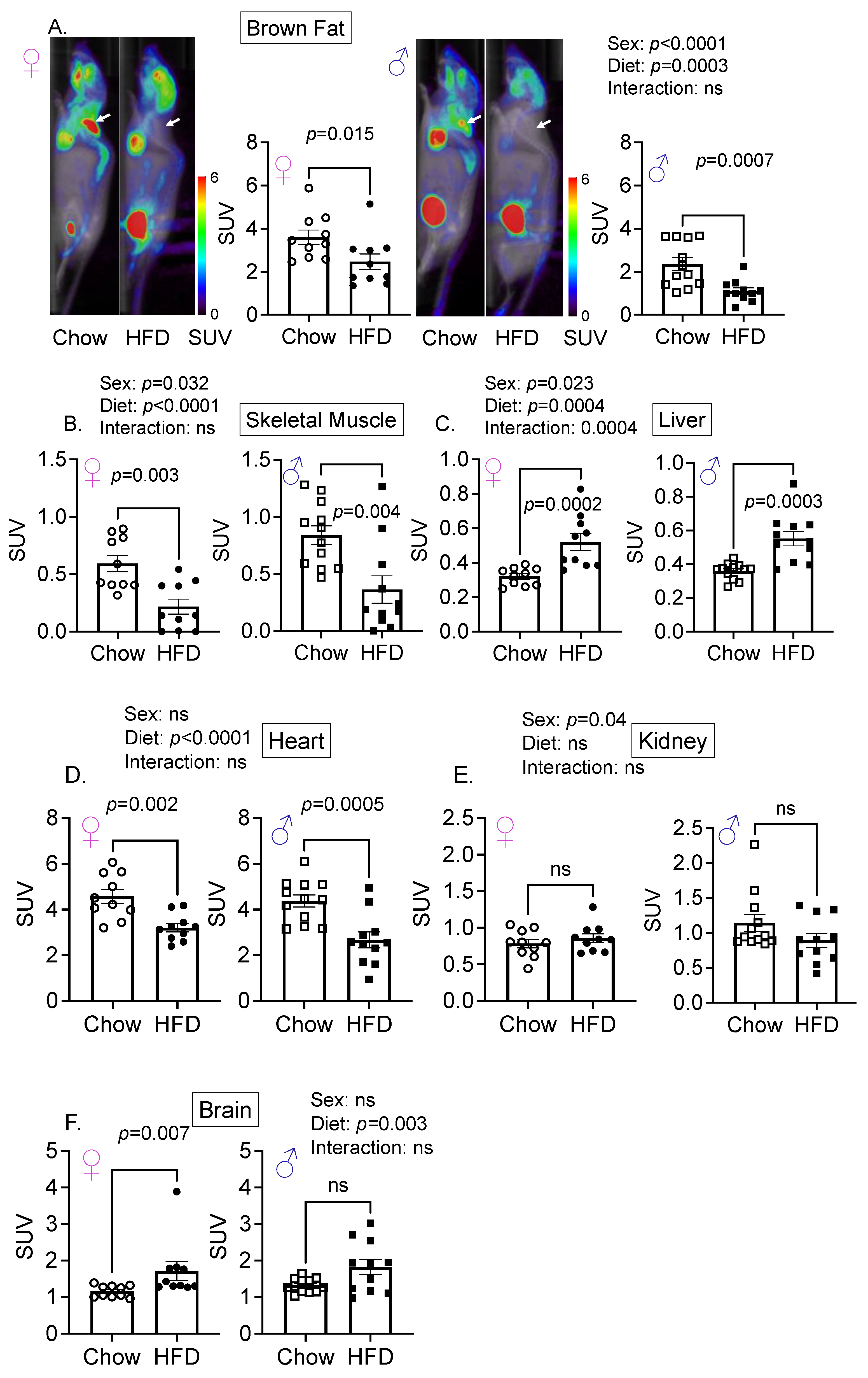 Cells 11 02217 g002a