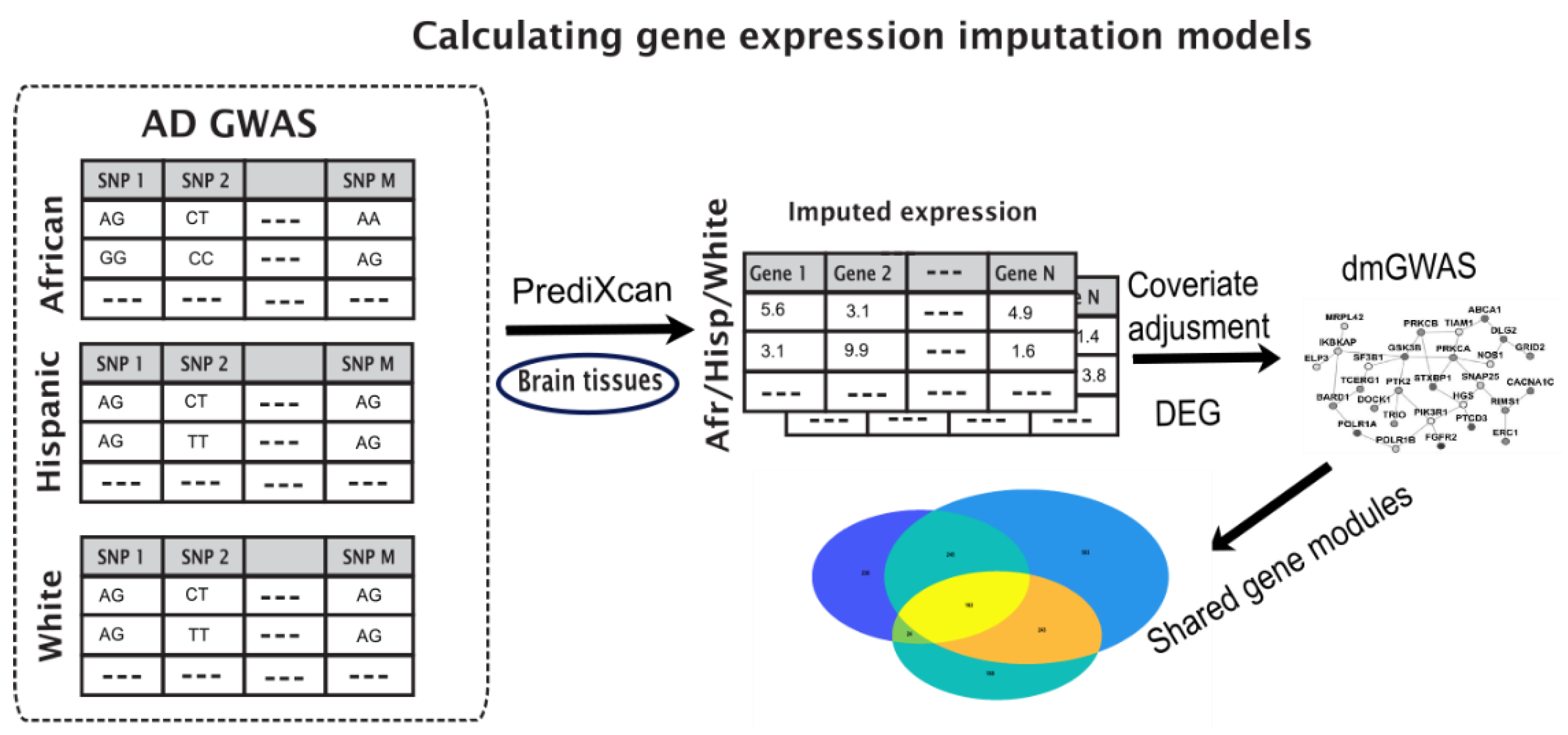 Cells | Free Full-Text | A Method for Bridging Population-Specific  Genotypes to Detect Gene Modules Associated with Alzheimer&rsquo;s Disease
