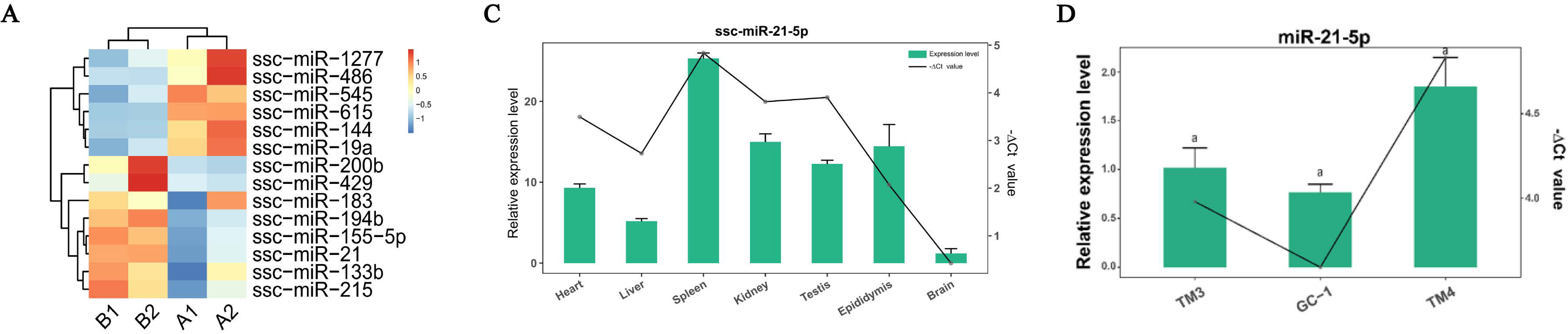 Cells Free Full Text Ssc Mir 21 5p And Ssc Mir 615 Regulates The Proliferation And Apoptosis 9805