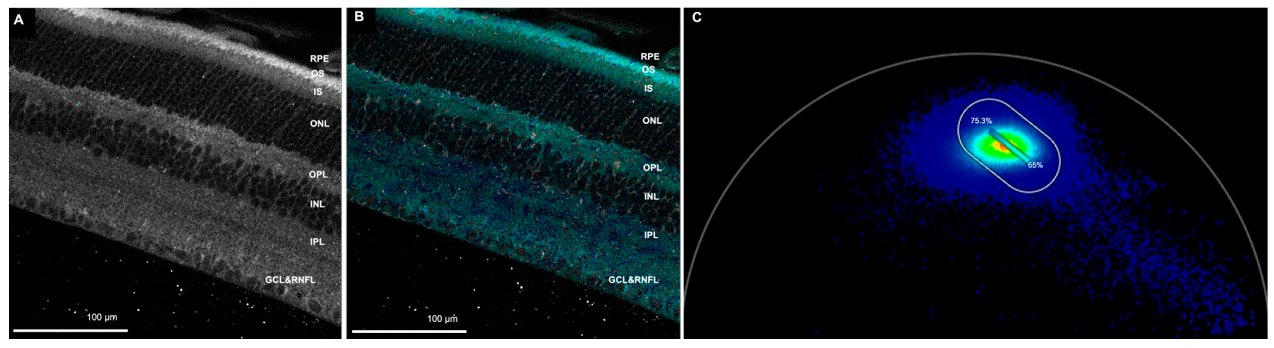 Cells 11 02265 g003 Cells 11 02265 g003