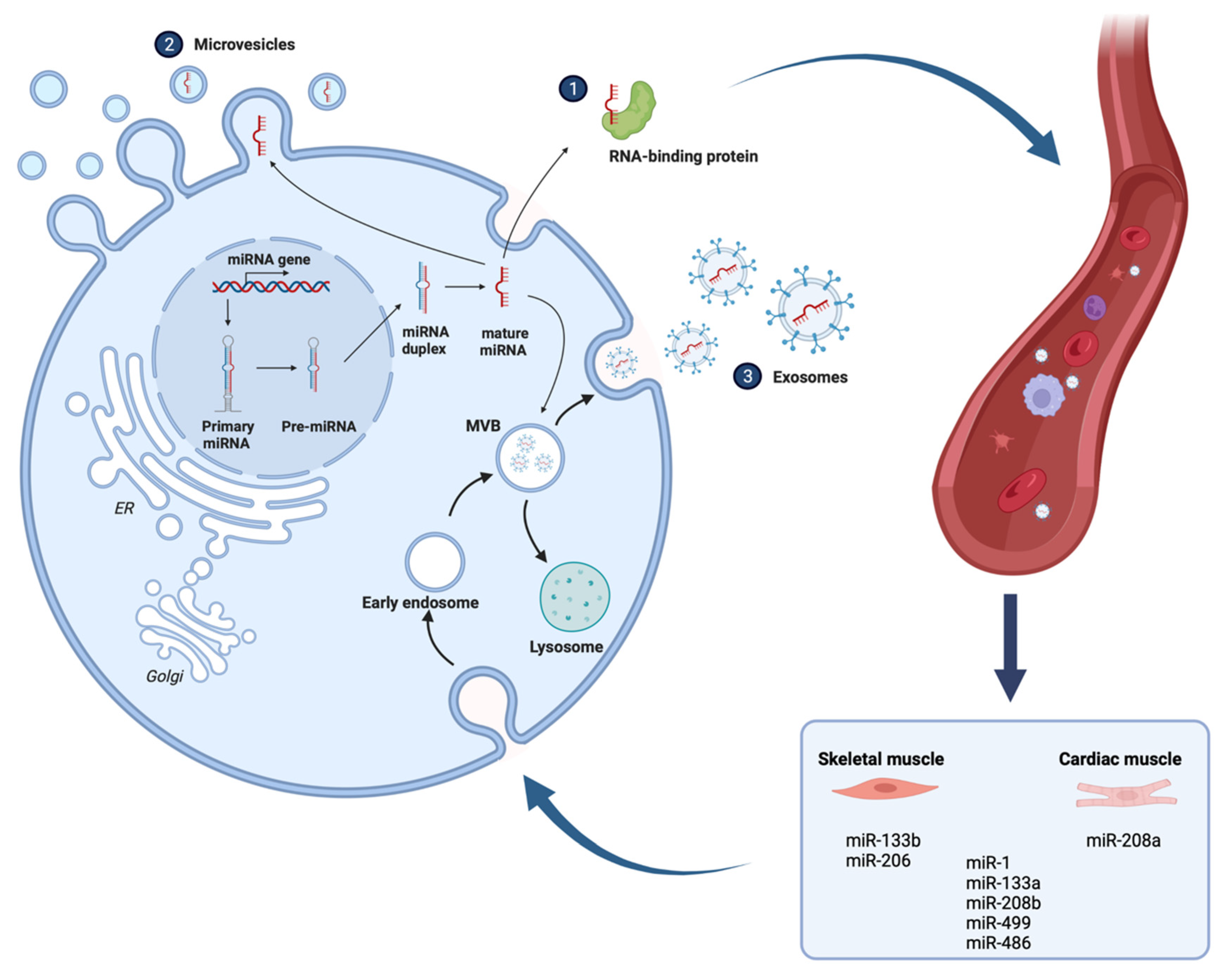 Cells | Free Full-Text | Shared and Divergent Epigenetic 