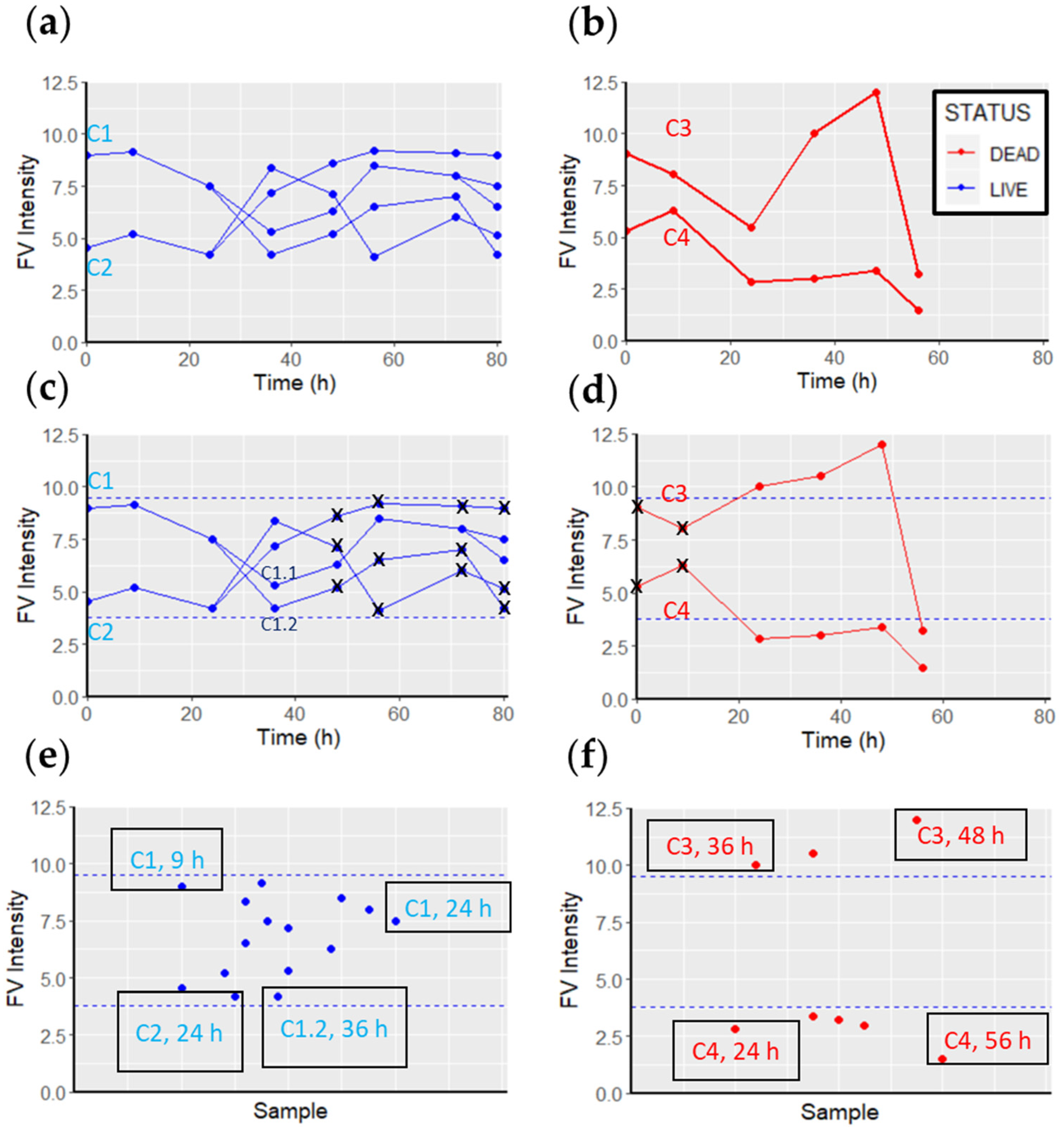Cells 11 02314 g003 Cells 11 02314 g003