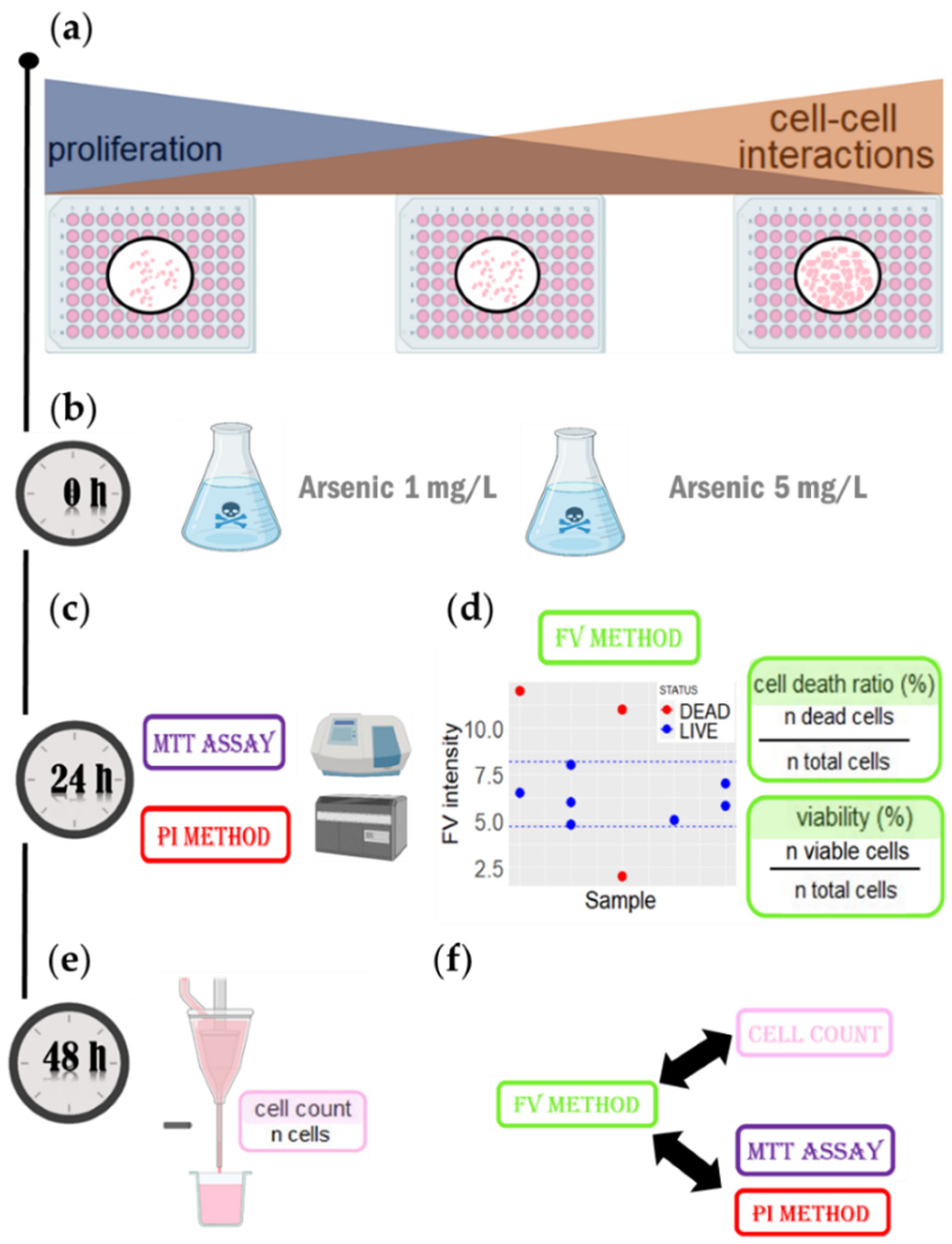 Cells 11 02314 g004 Cells 11 02314 g004