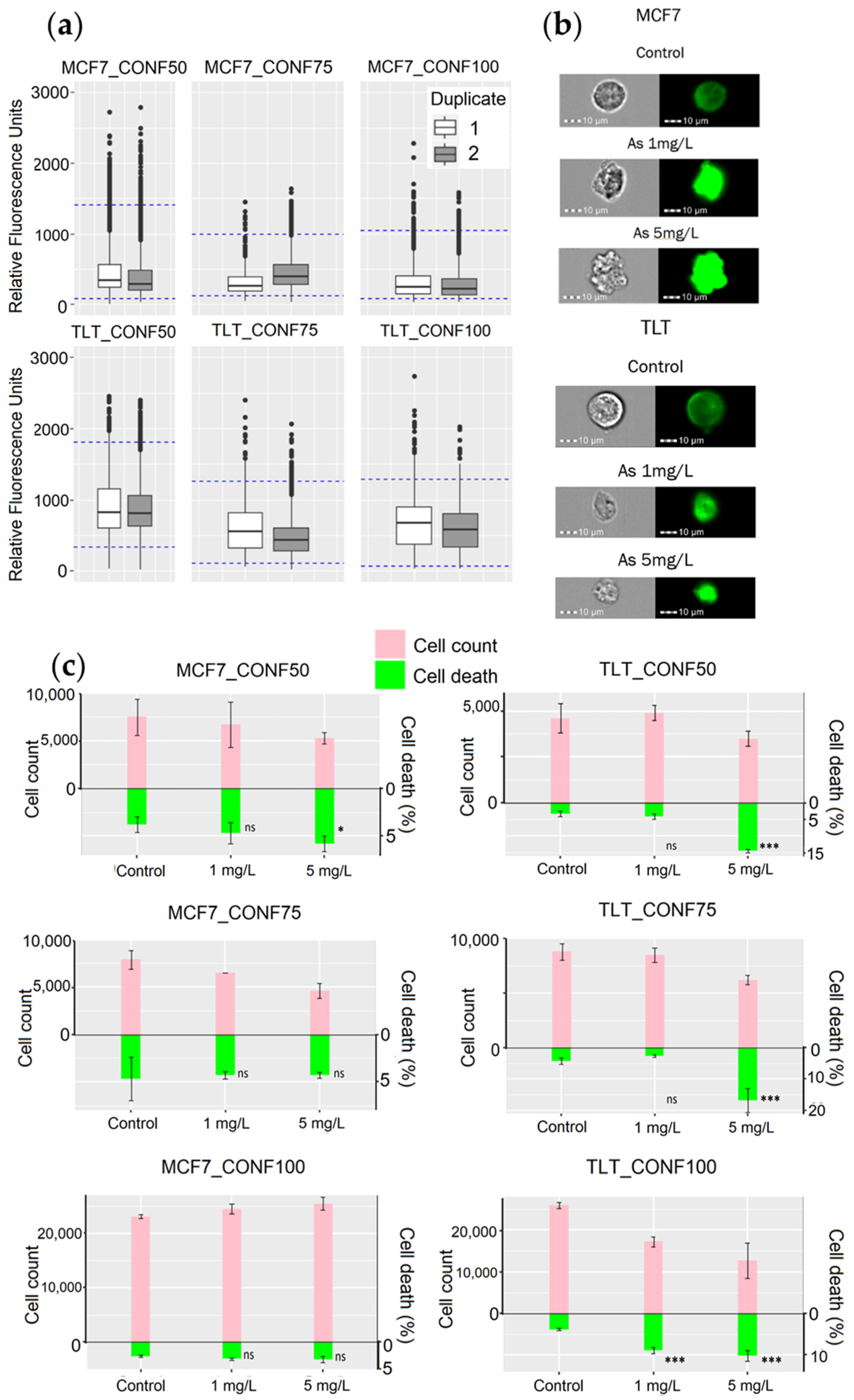 Cells 11 02314 g008 Cells 11 02314 g008