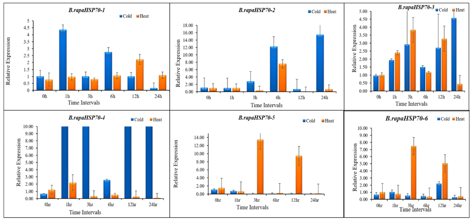 Cells 11 02316 g010a