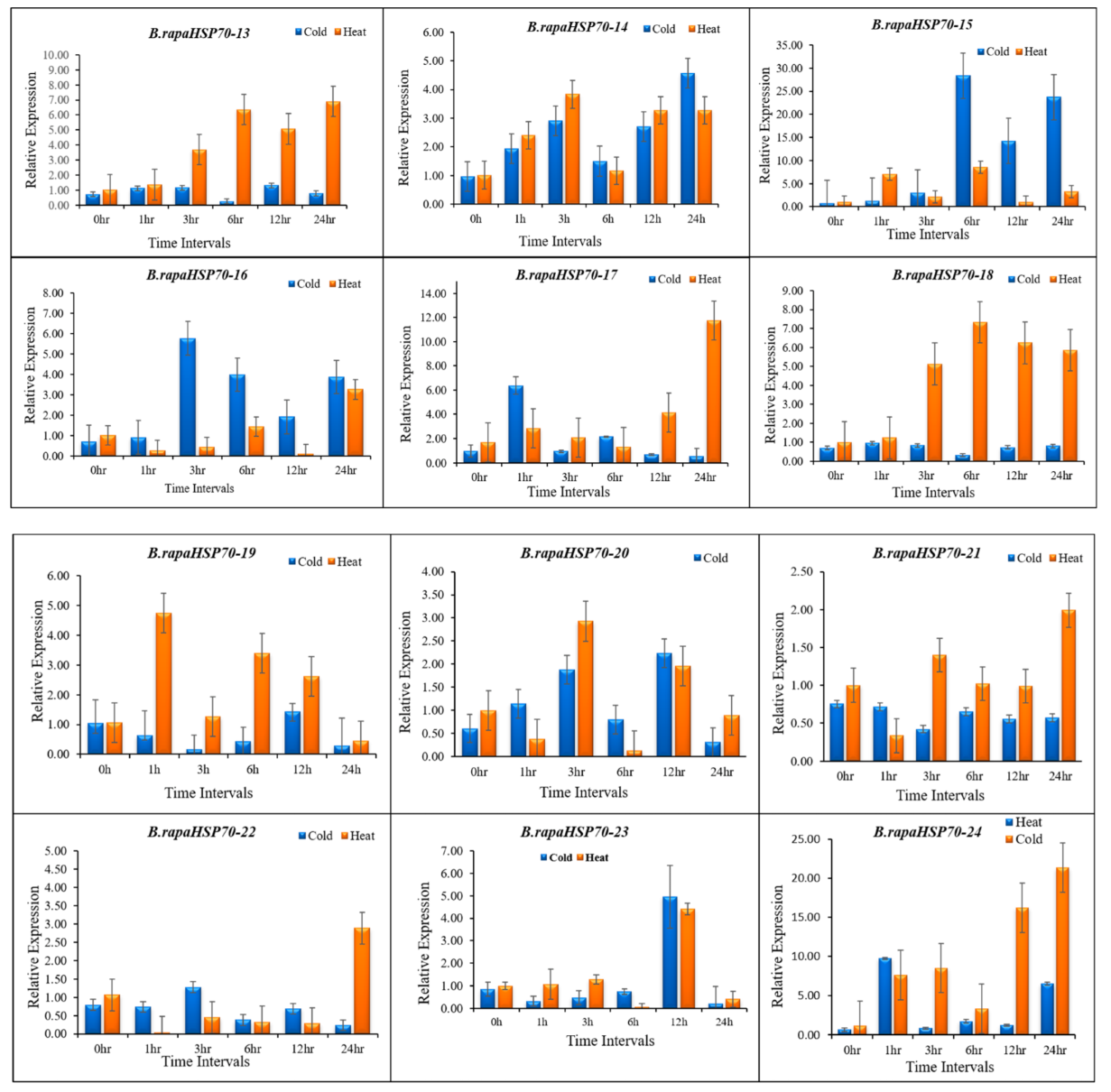 Cells 11 02316 g010c
