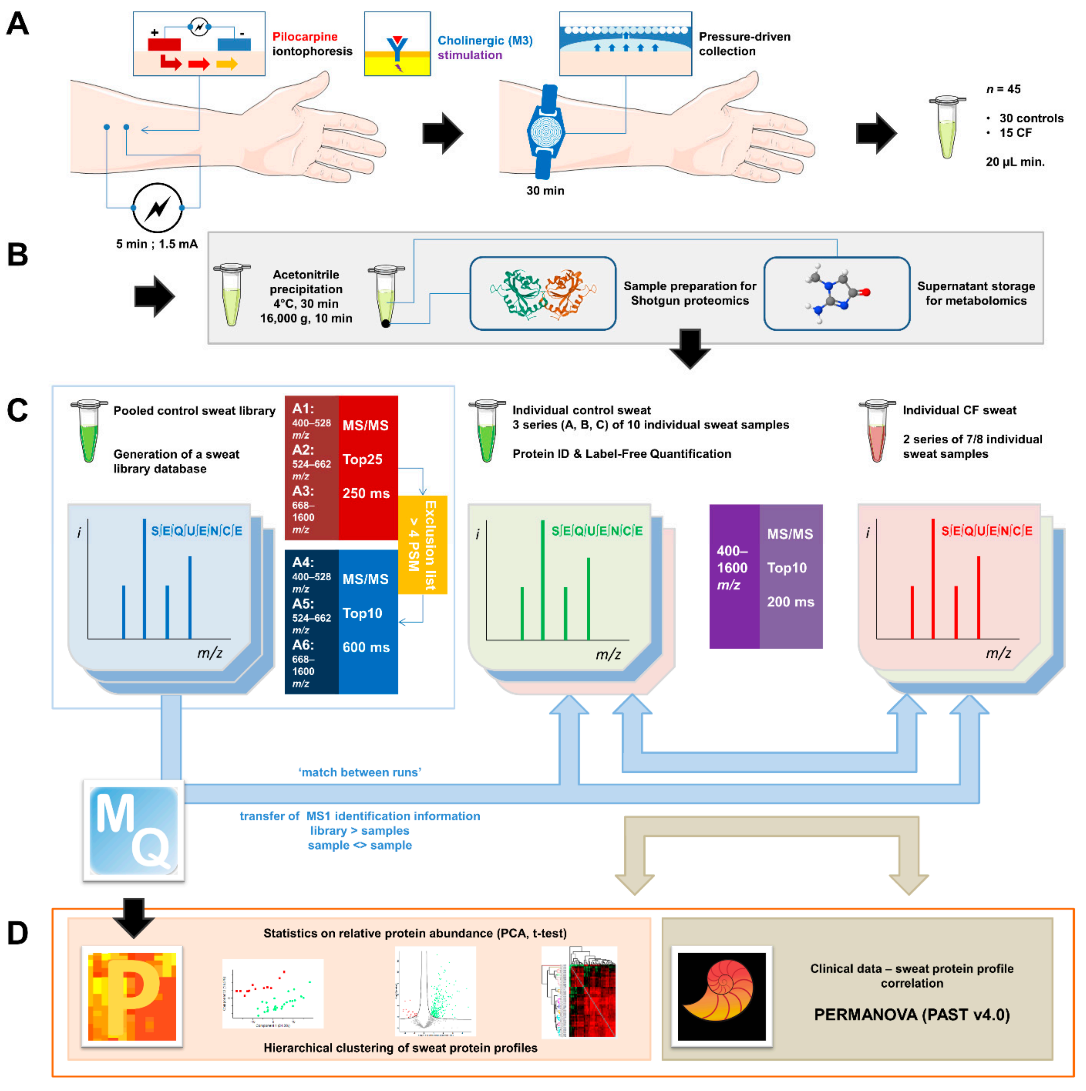Cells | Free Full-Text | Sweat Proteomics in Cystic Fibrosis: Discovering  Companion Biomarkers for Precision Medicine and Therapeutic Development