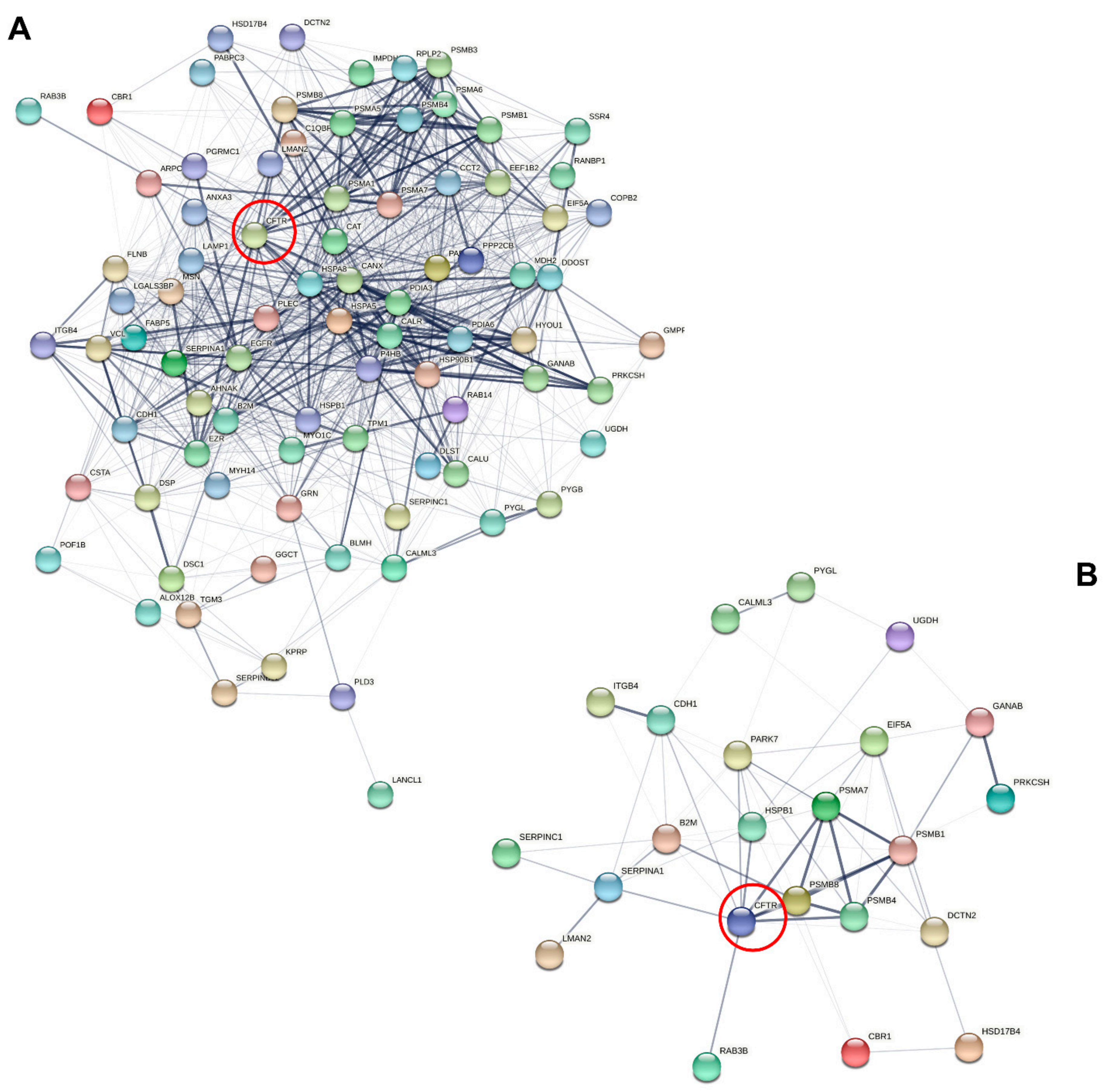 Cells 11 02358 g006 Cells 11 02358 g006