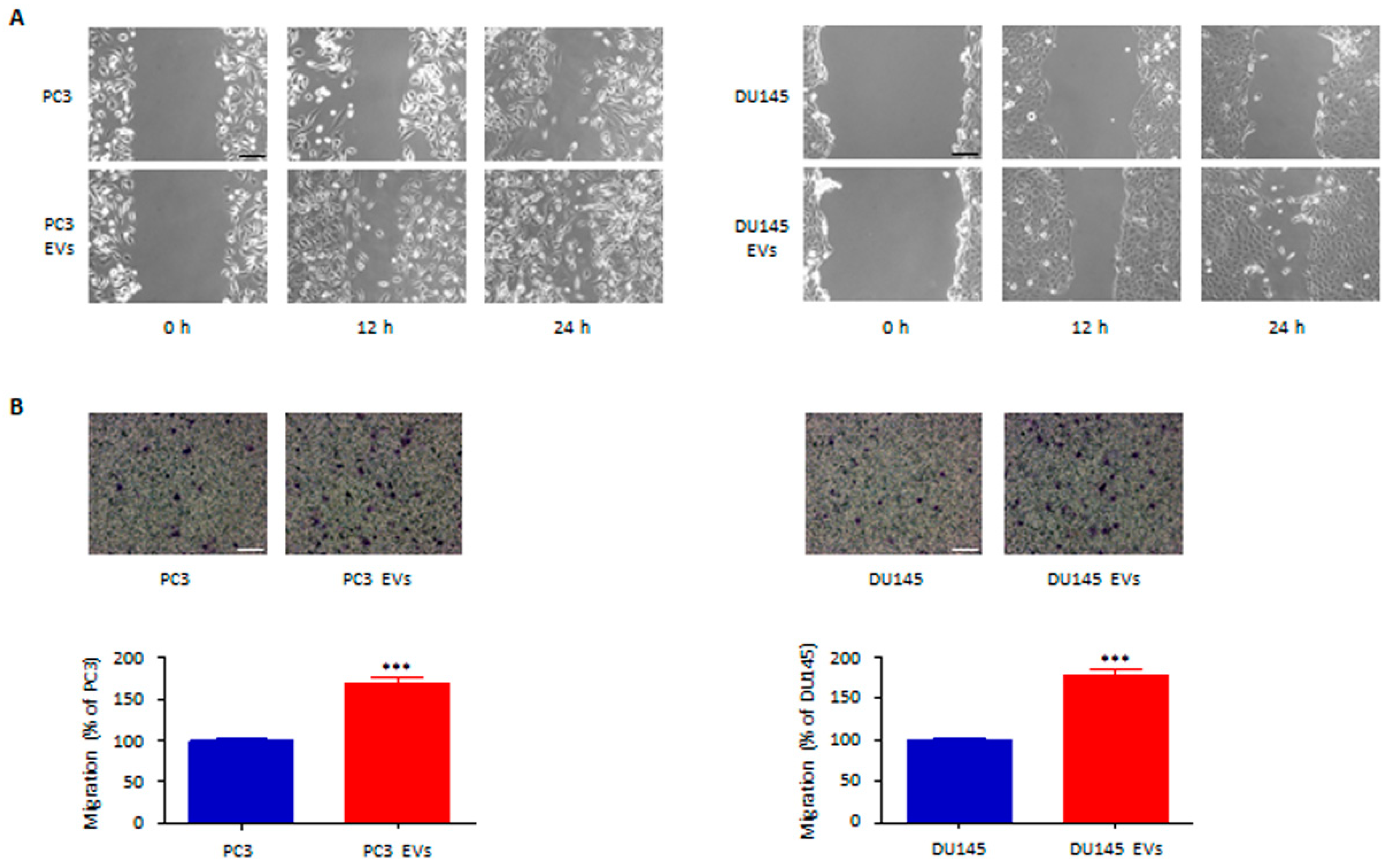 Cells 11 02388 g003