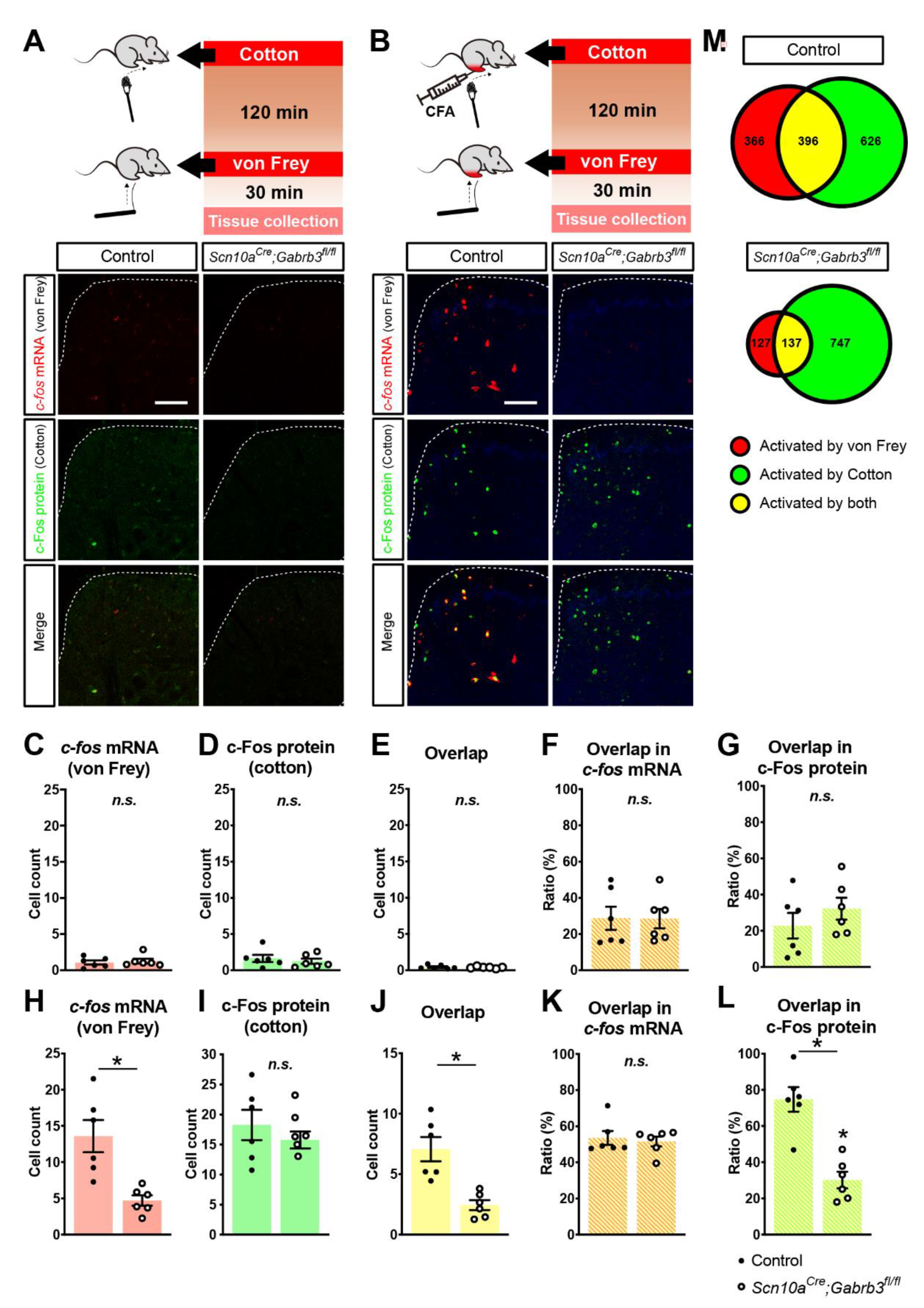 Cells 11 02390 g004 Cells 11 02390 g004