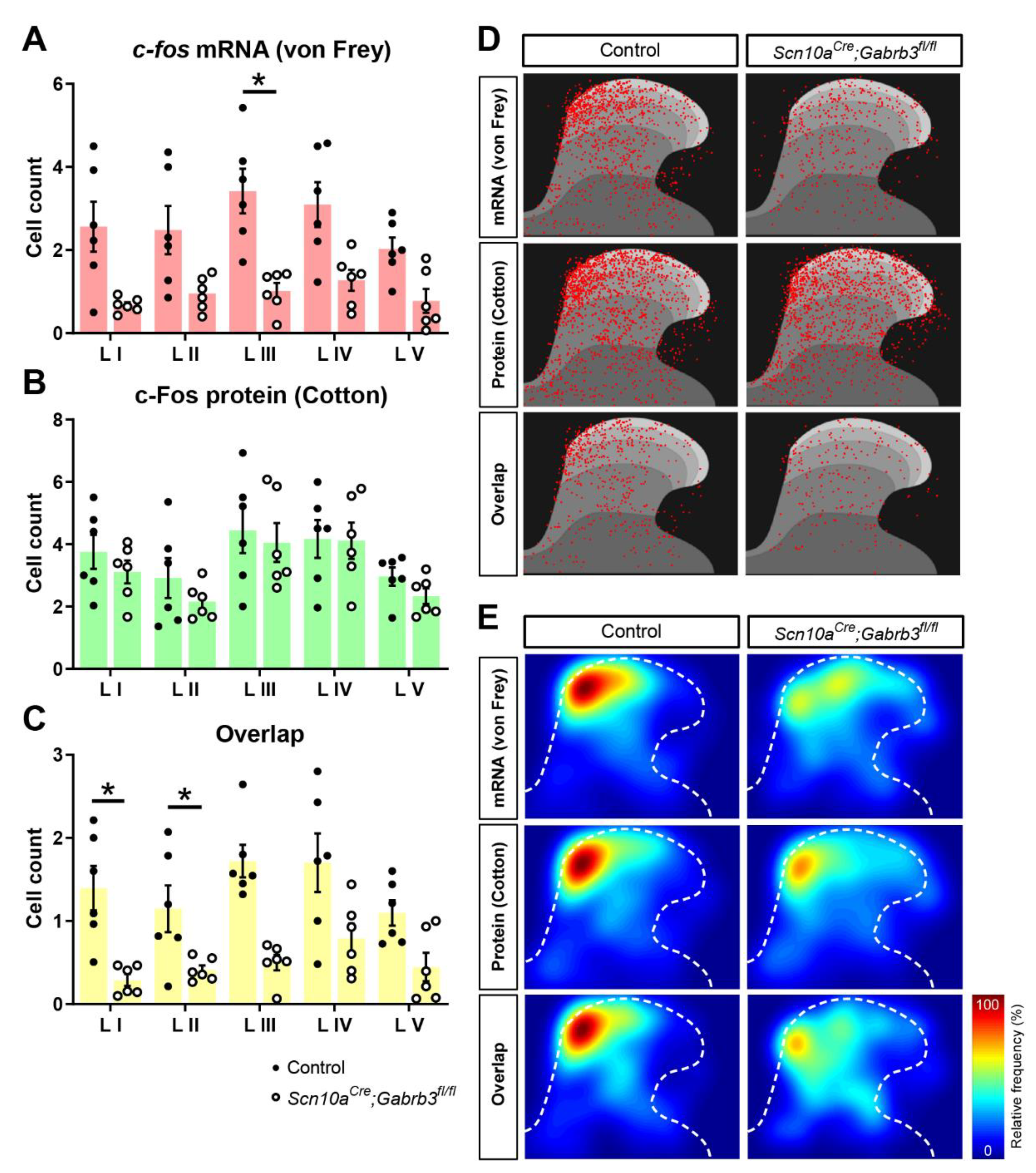 Cells 11 02390 g005 Cells 11 02390 g005