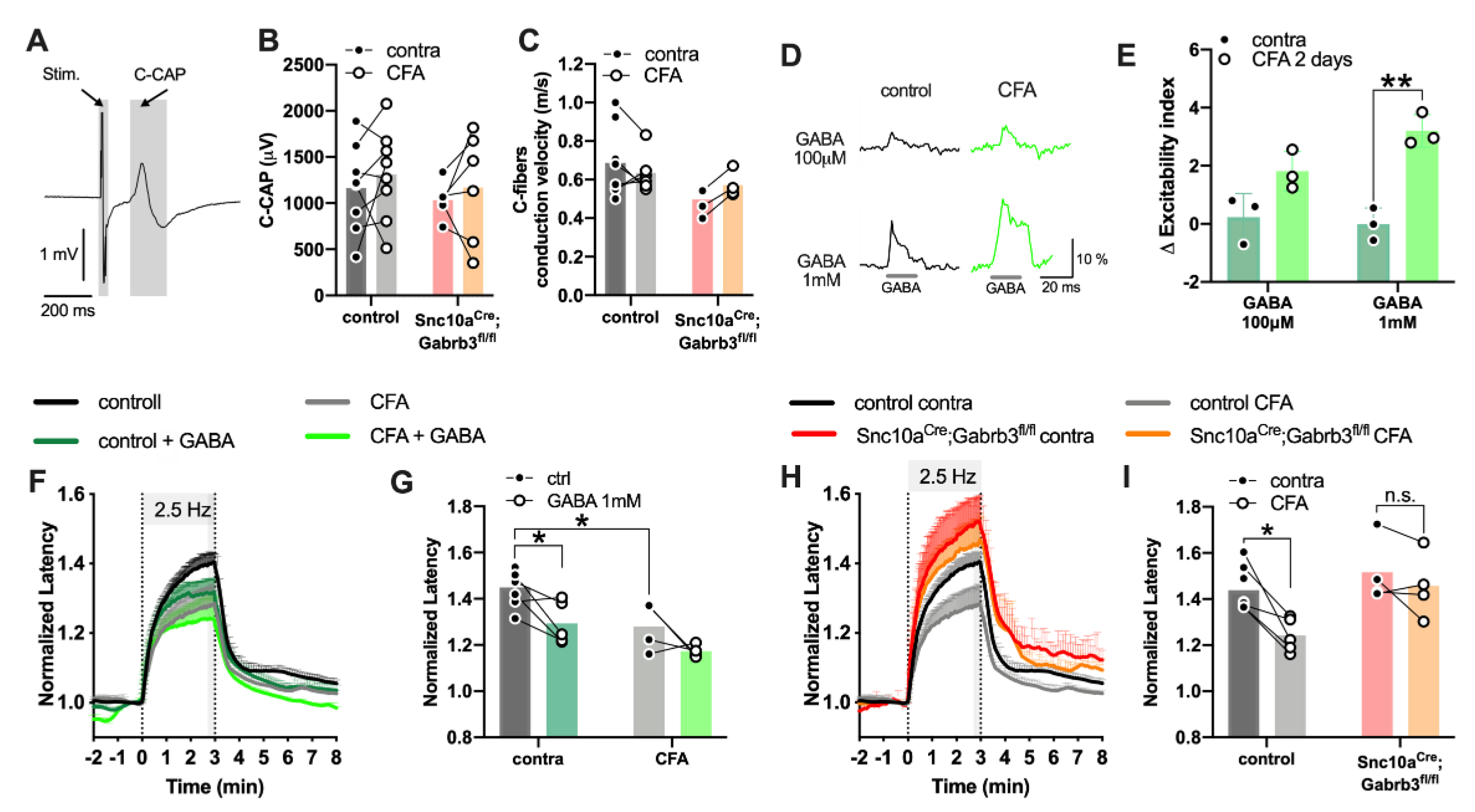 Cells 11 02390 g007 Cells 11 02390 g007