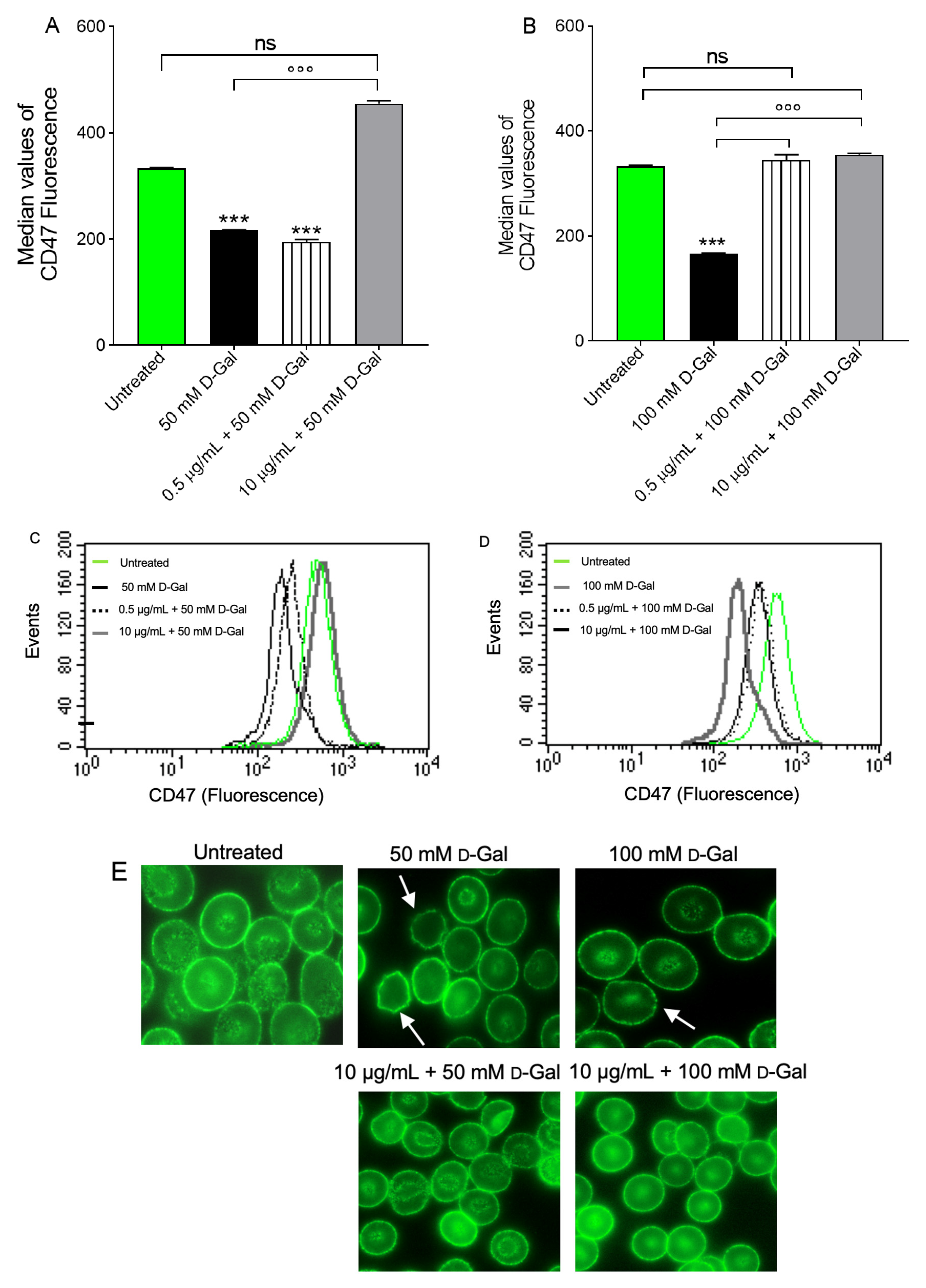 Cells 11 02391 g008 Cells 11 02391 g008
