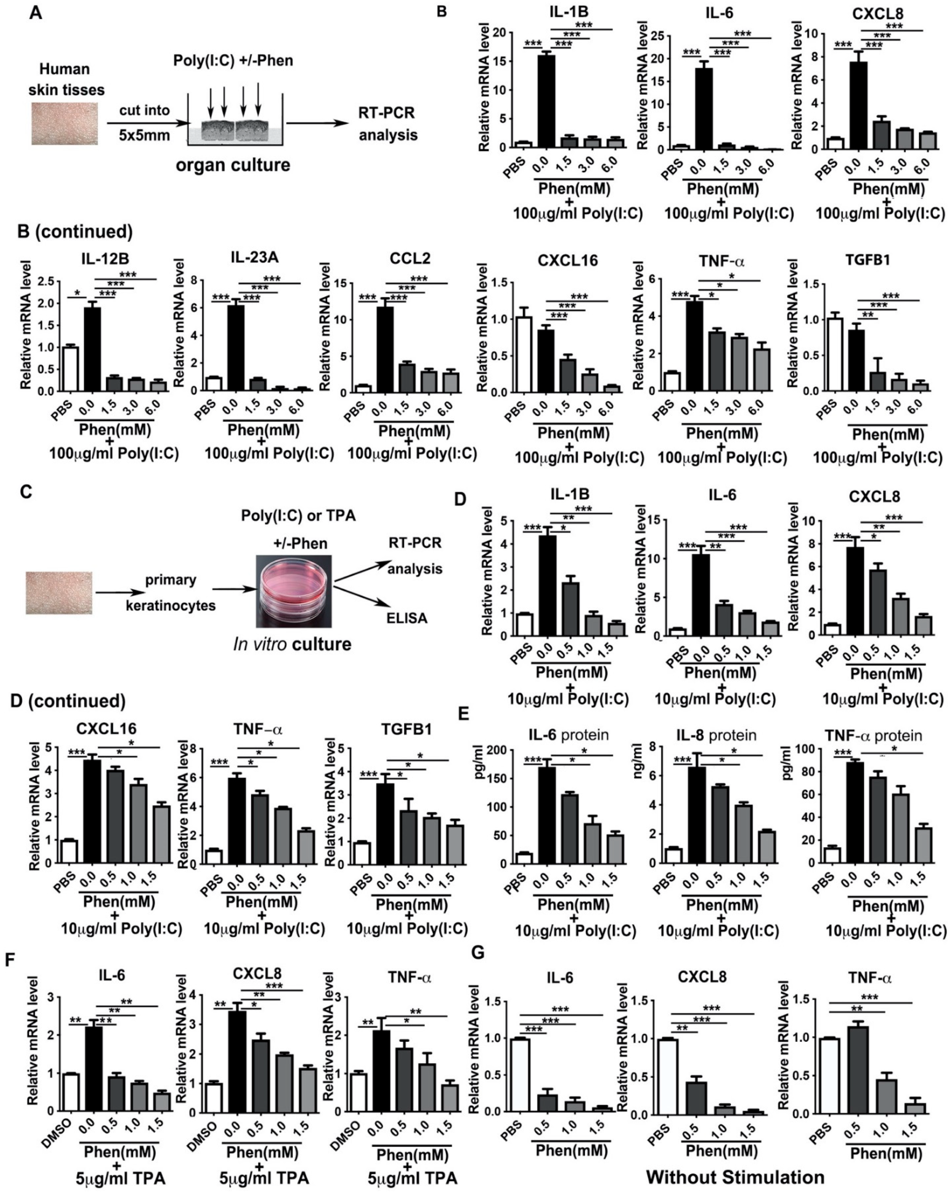 Cells 11 02429 g002