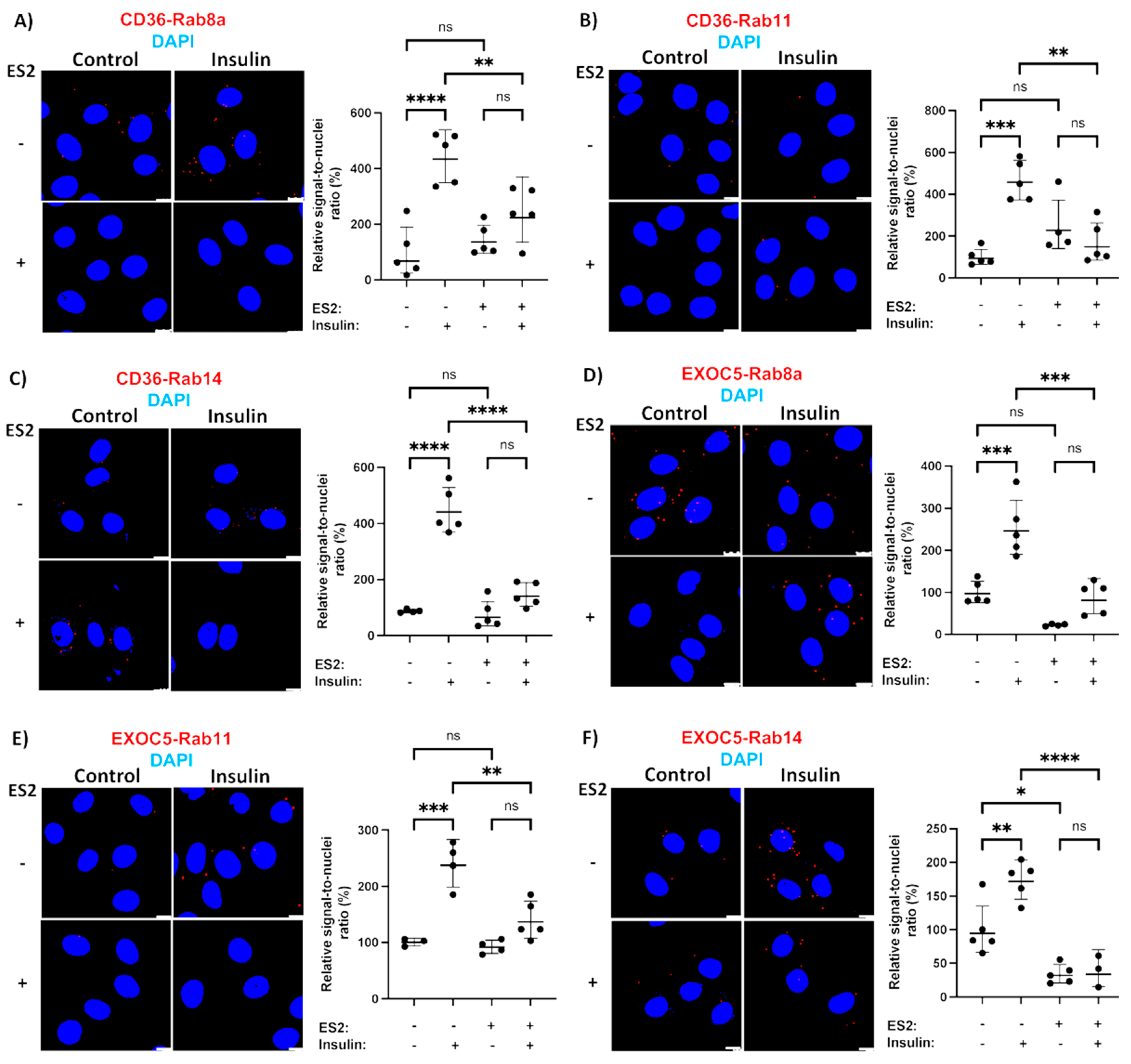Cells 11 02440 g004