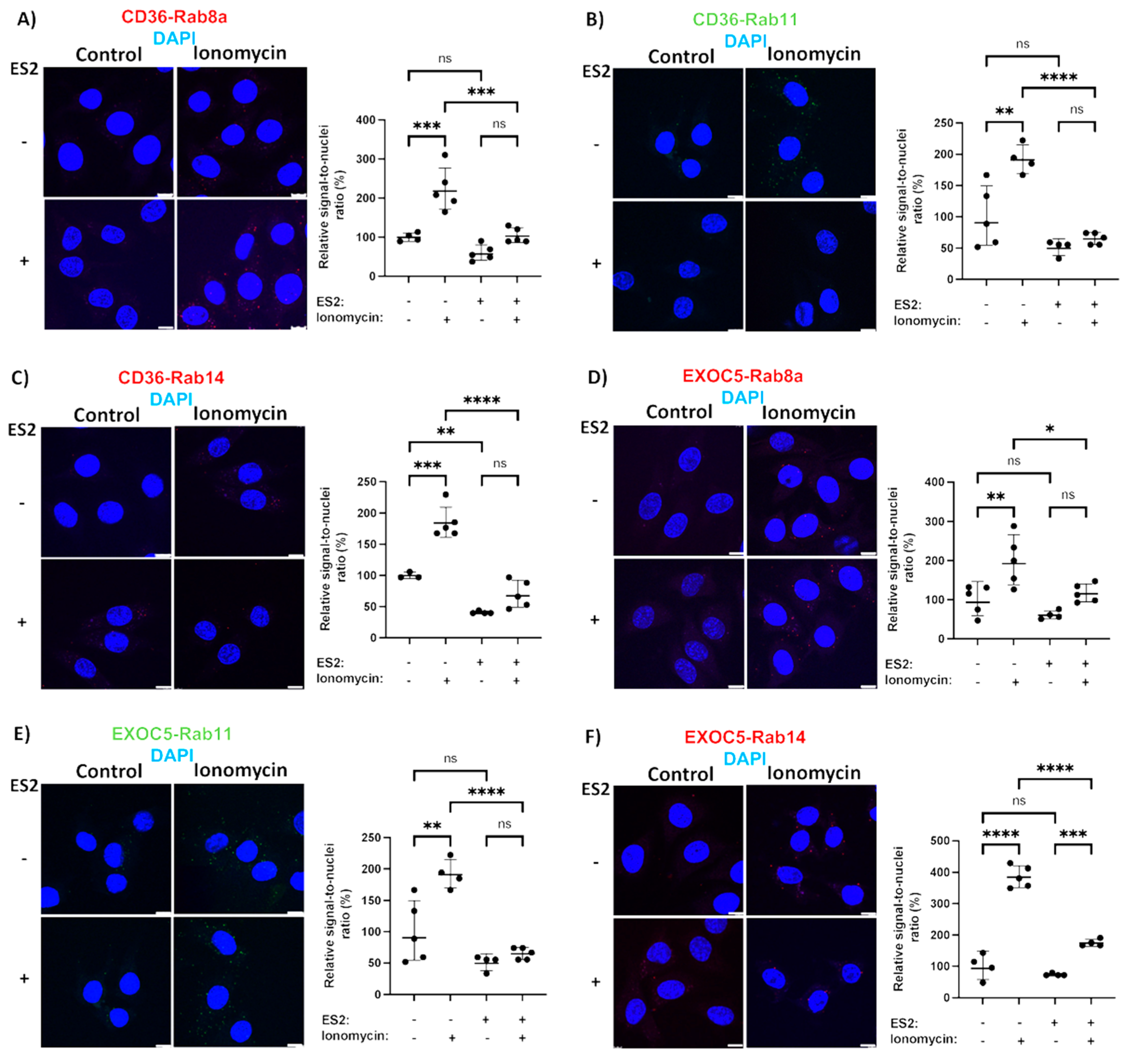 Cells 11 02440 g005