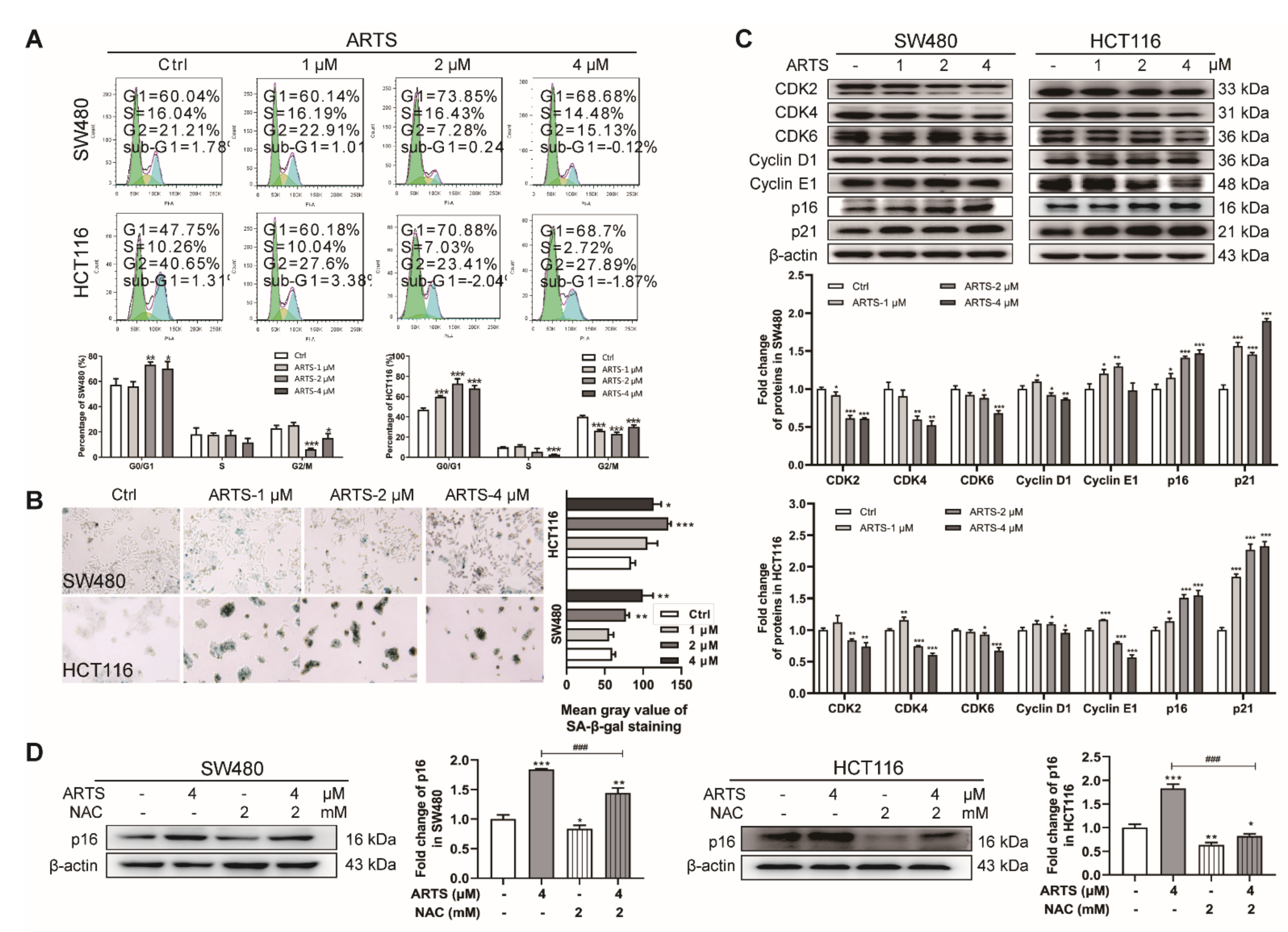 Cells 11 02472 g003