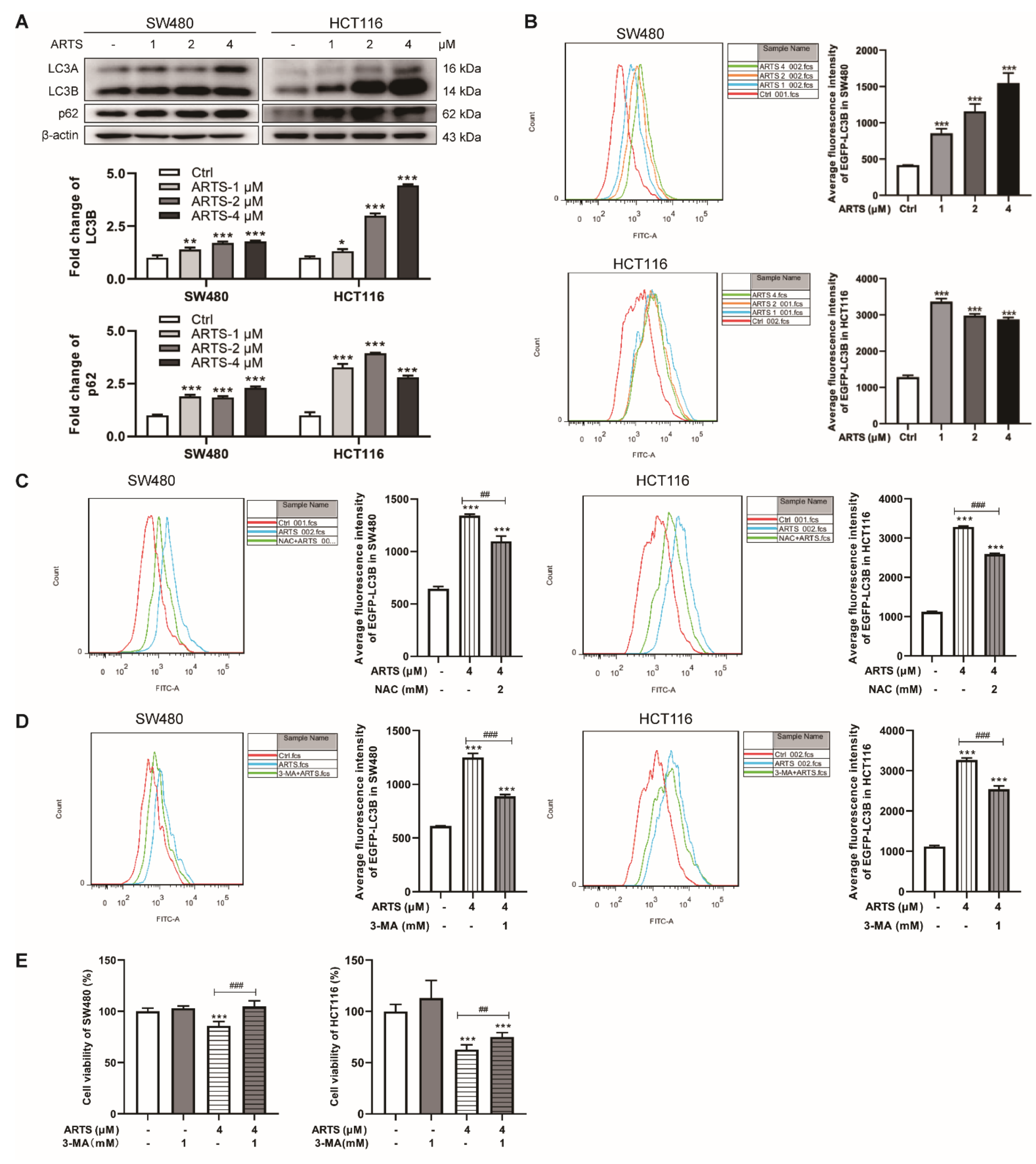Cells 11 02472 g005