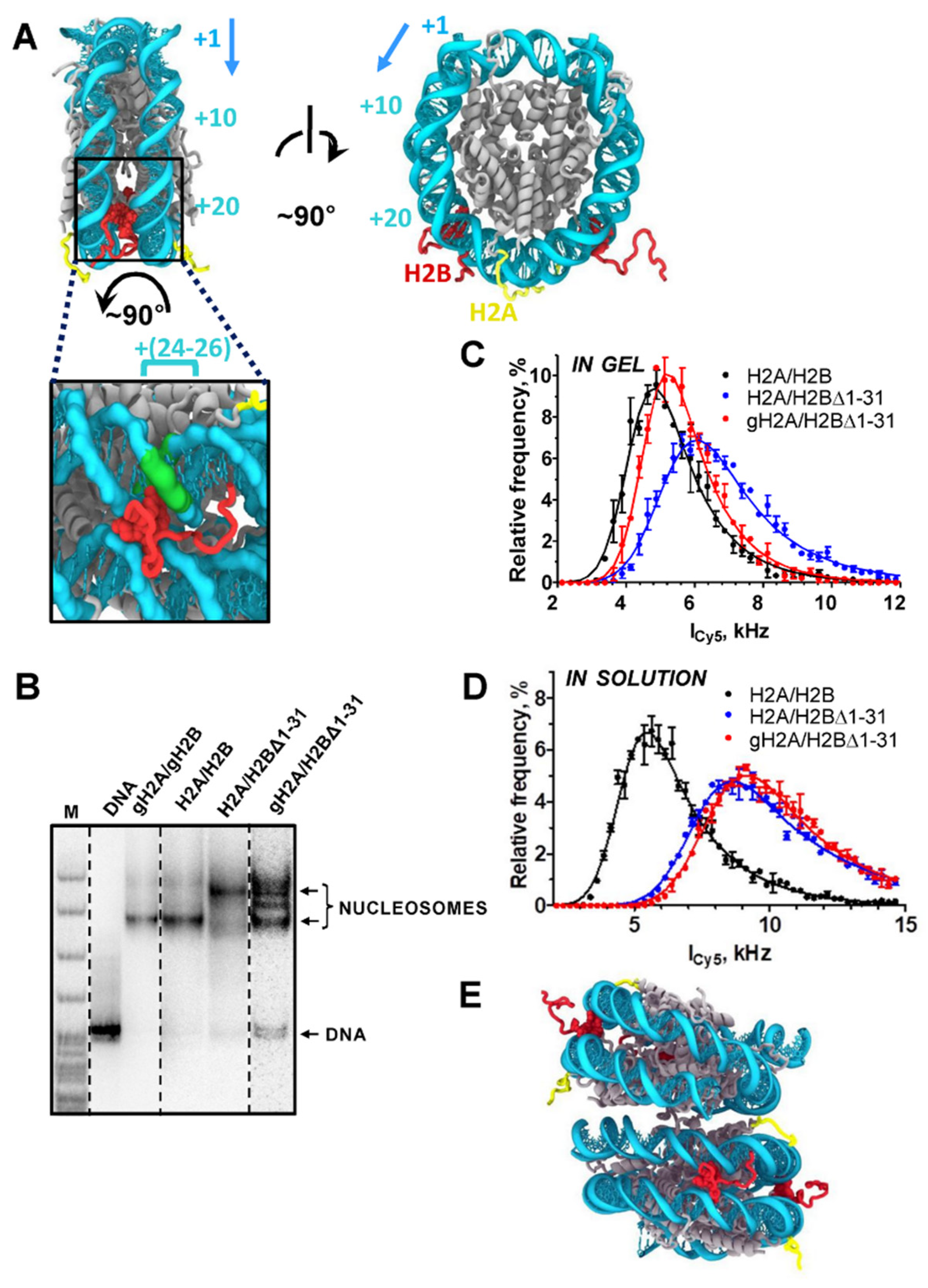 Cells 11 02475 g002 Cells 11 02475 g002