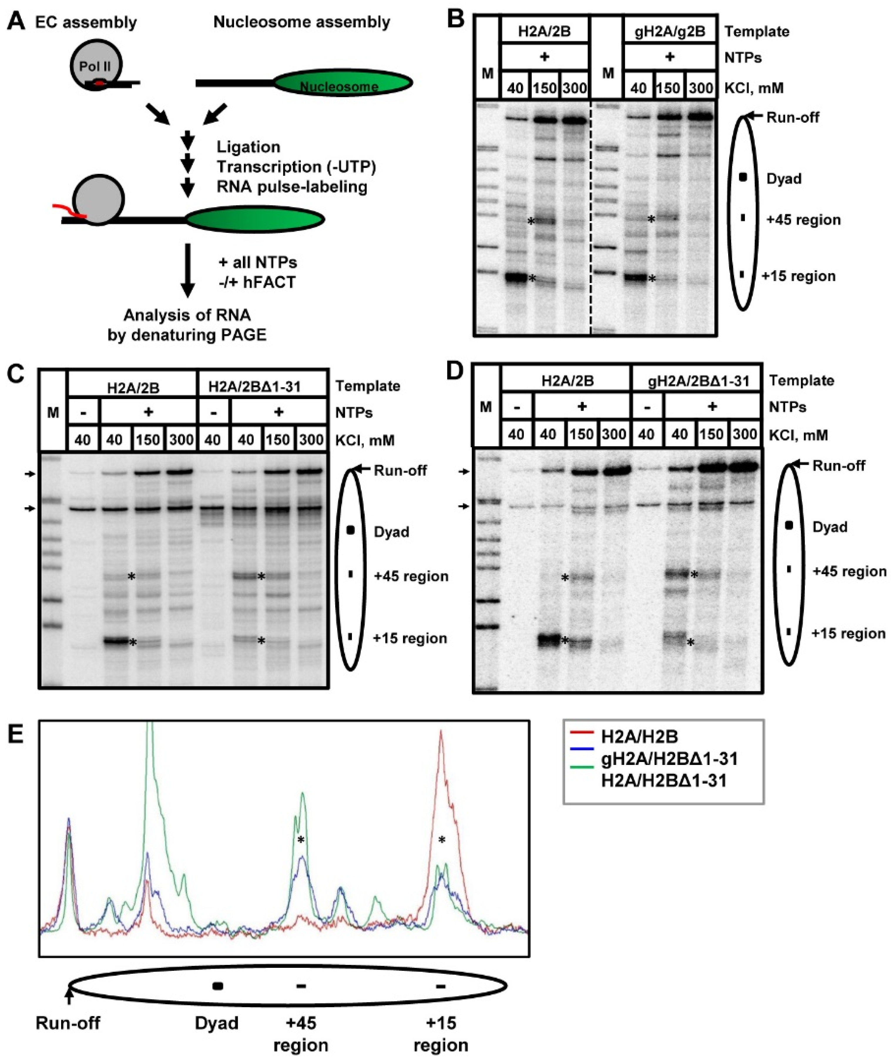 Cells 11 02475 g004 Cells 11 02475 g004