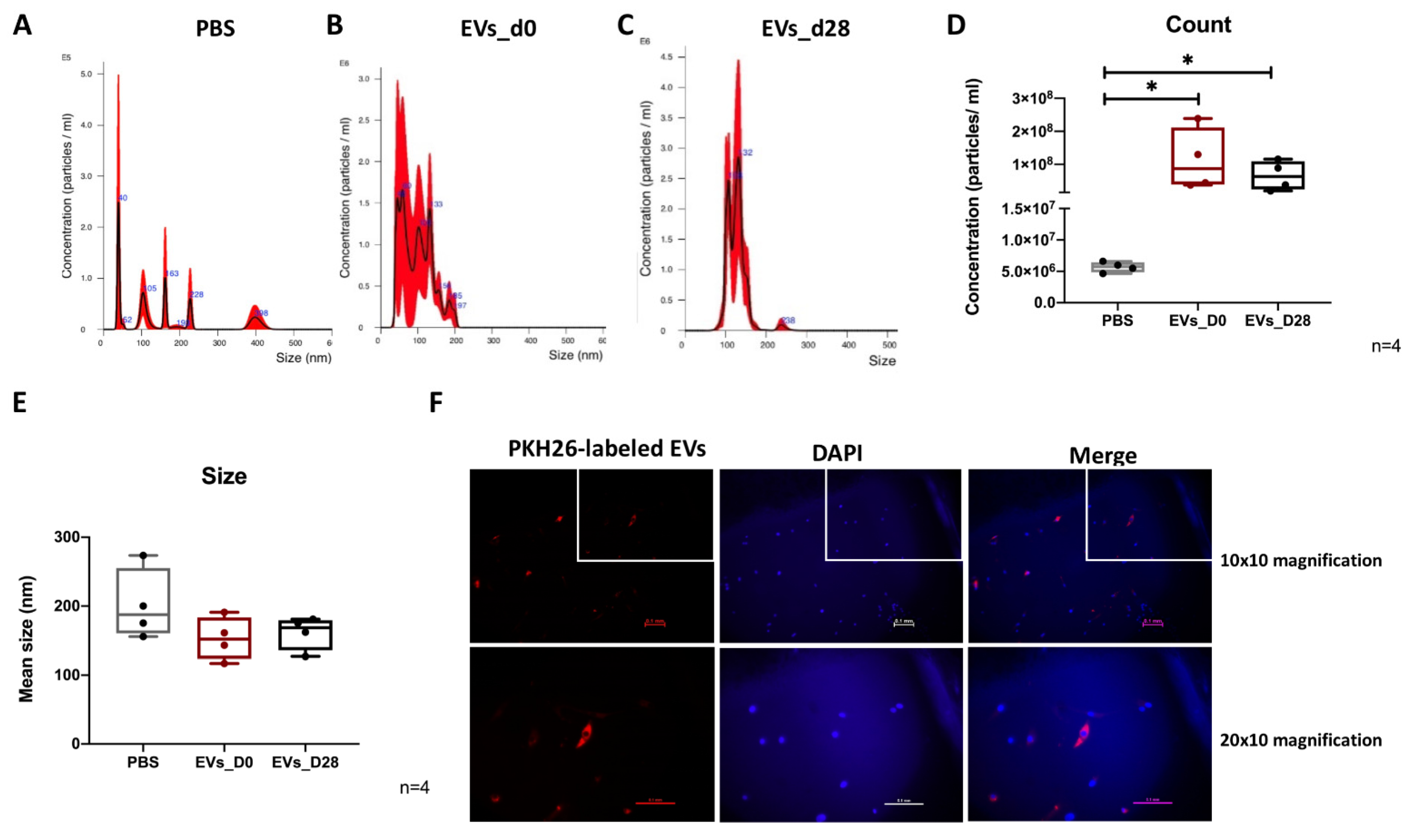 Cells 11 02491 g002 Cells 11 02491 g002