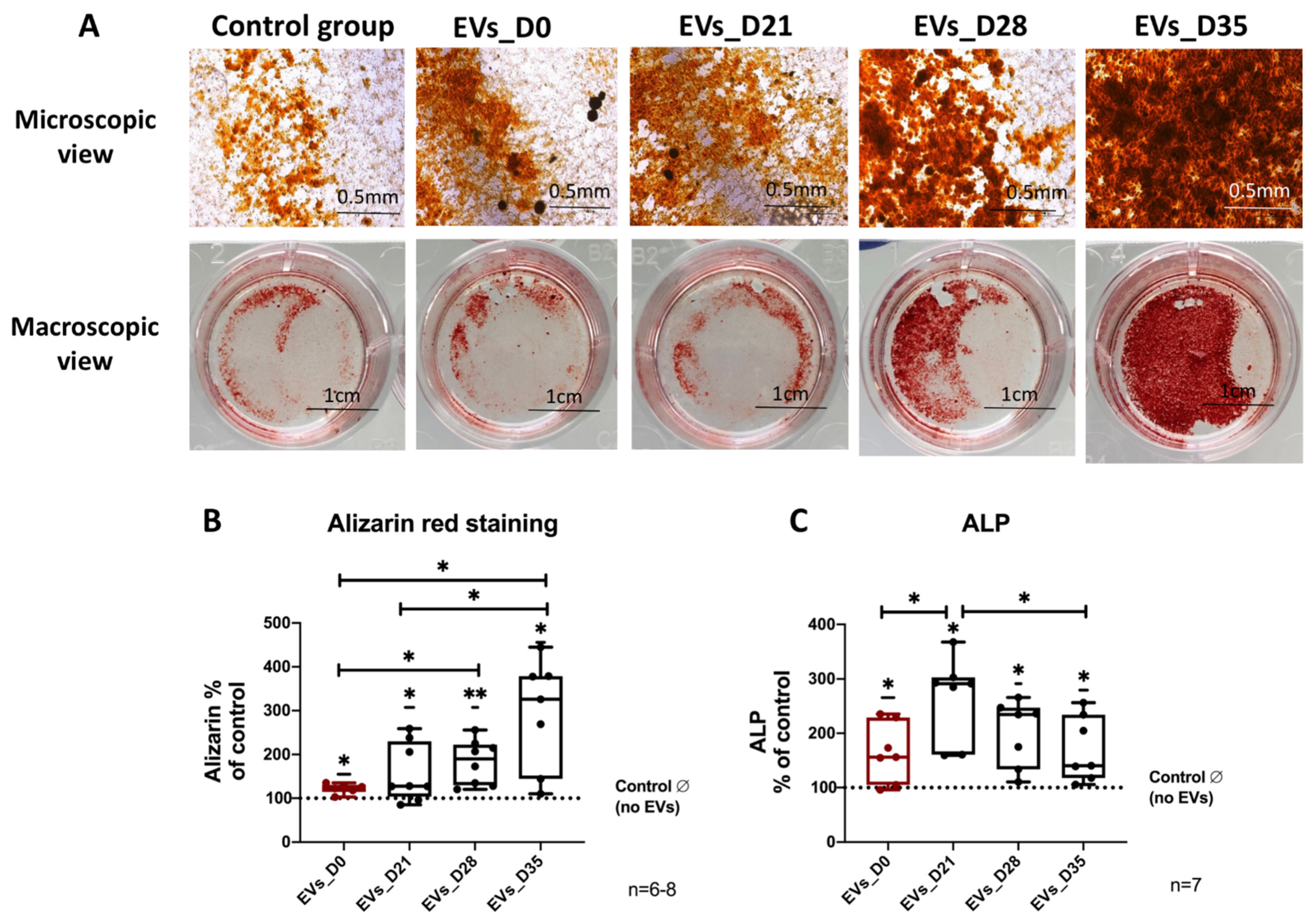 Cells 11 02491 g004 Cells 11 02491 g004