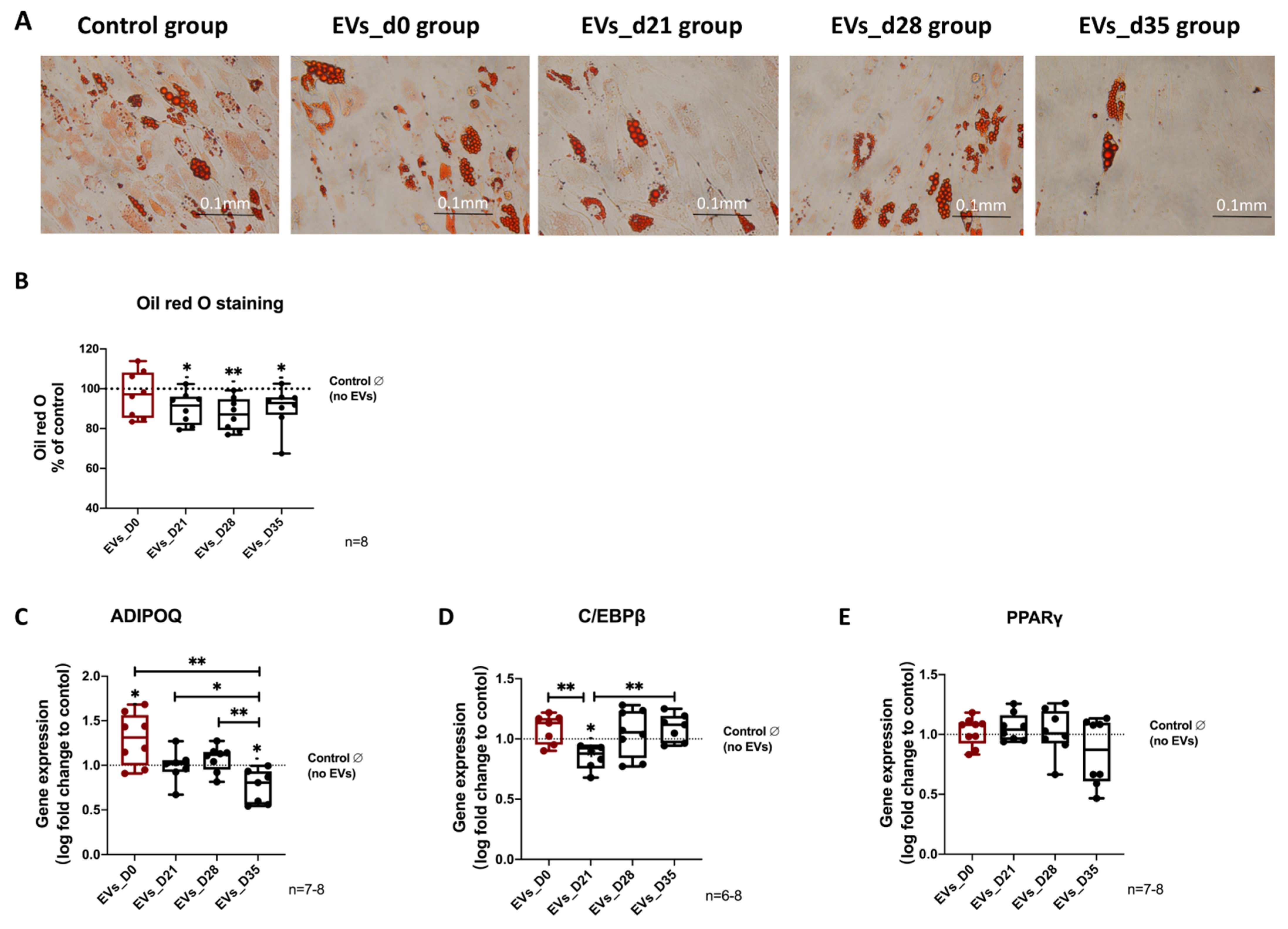 Cells 11 02491 g006 Cells 11 02491 g006