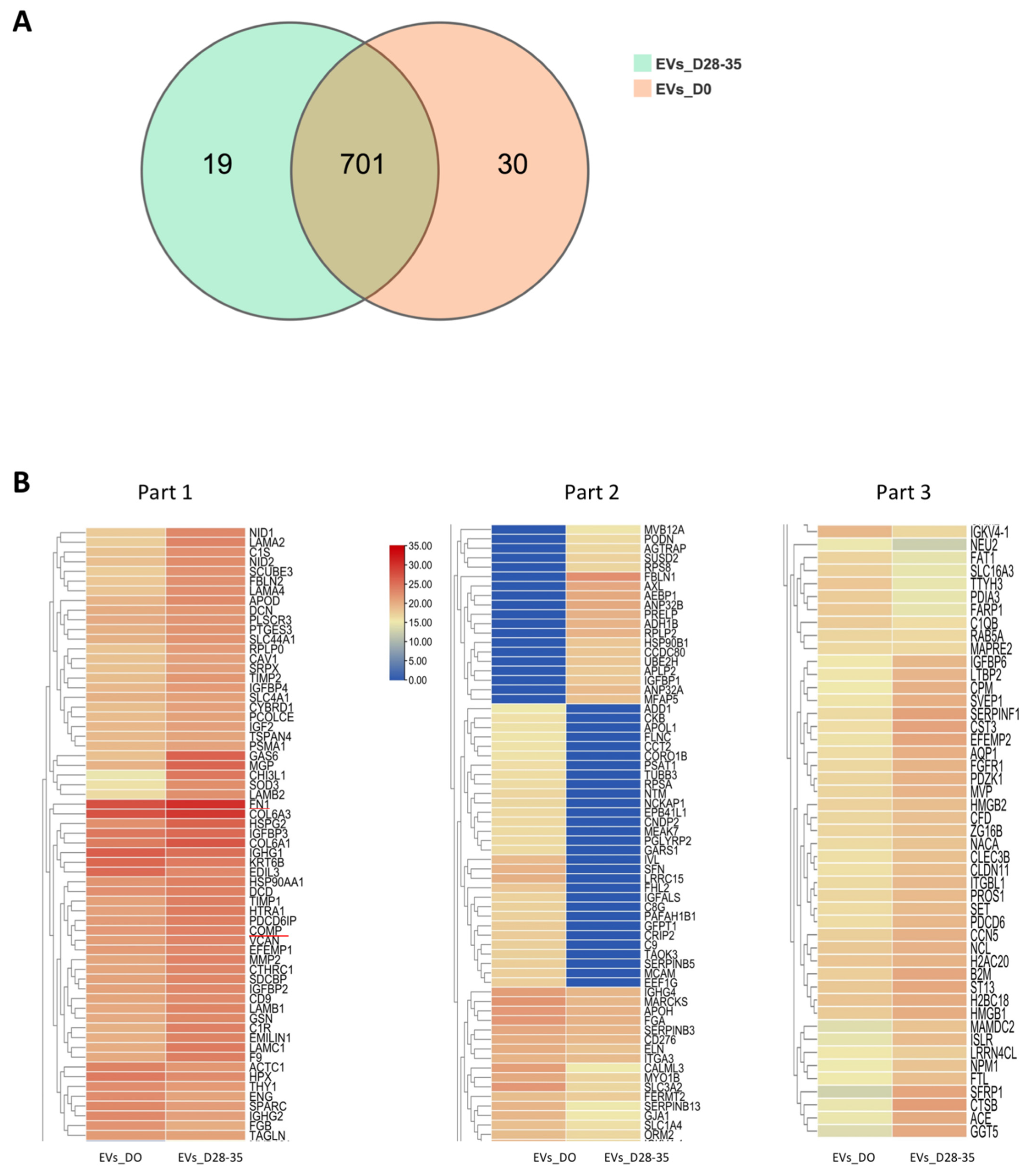 Cells 11 02491 g007 Cells 11 02491 g007