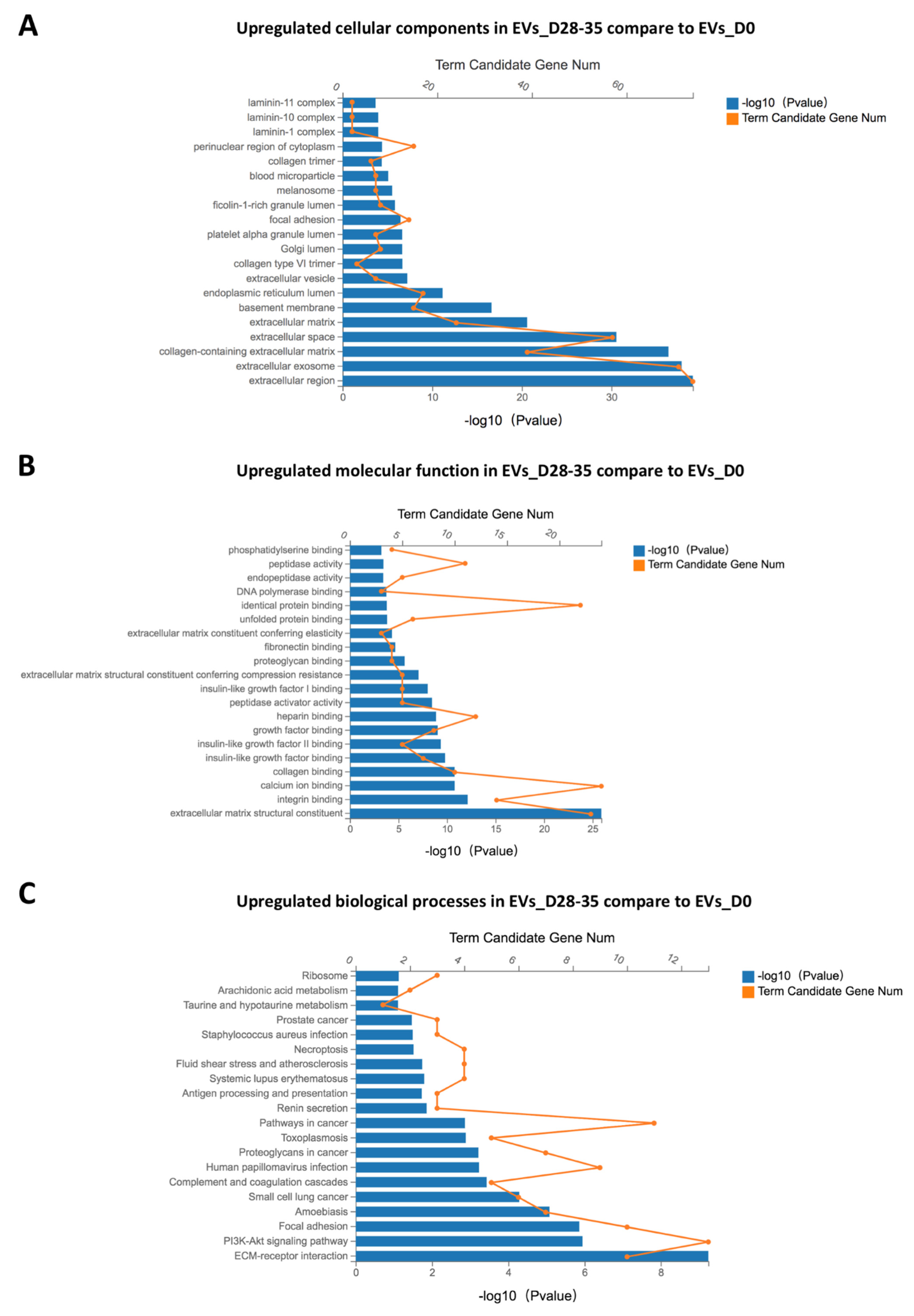 Cells 11 02491 g008 Cells 11 02491 g008