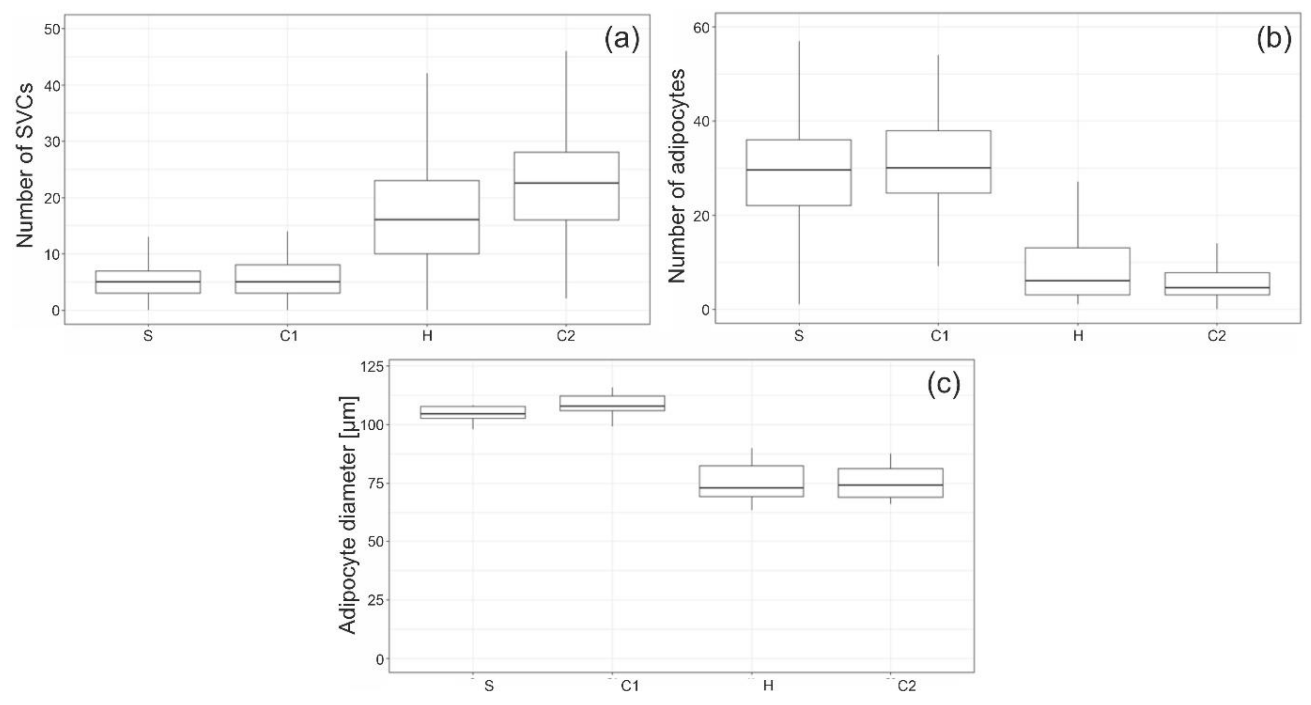 Cells 11 02543 g004 Cells 11 02543 g004