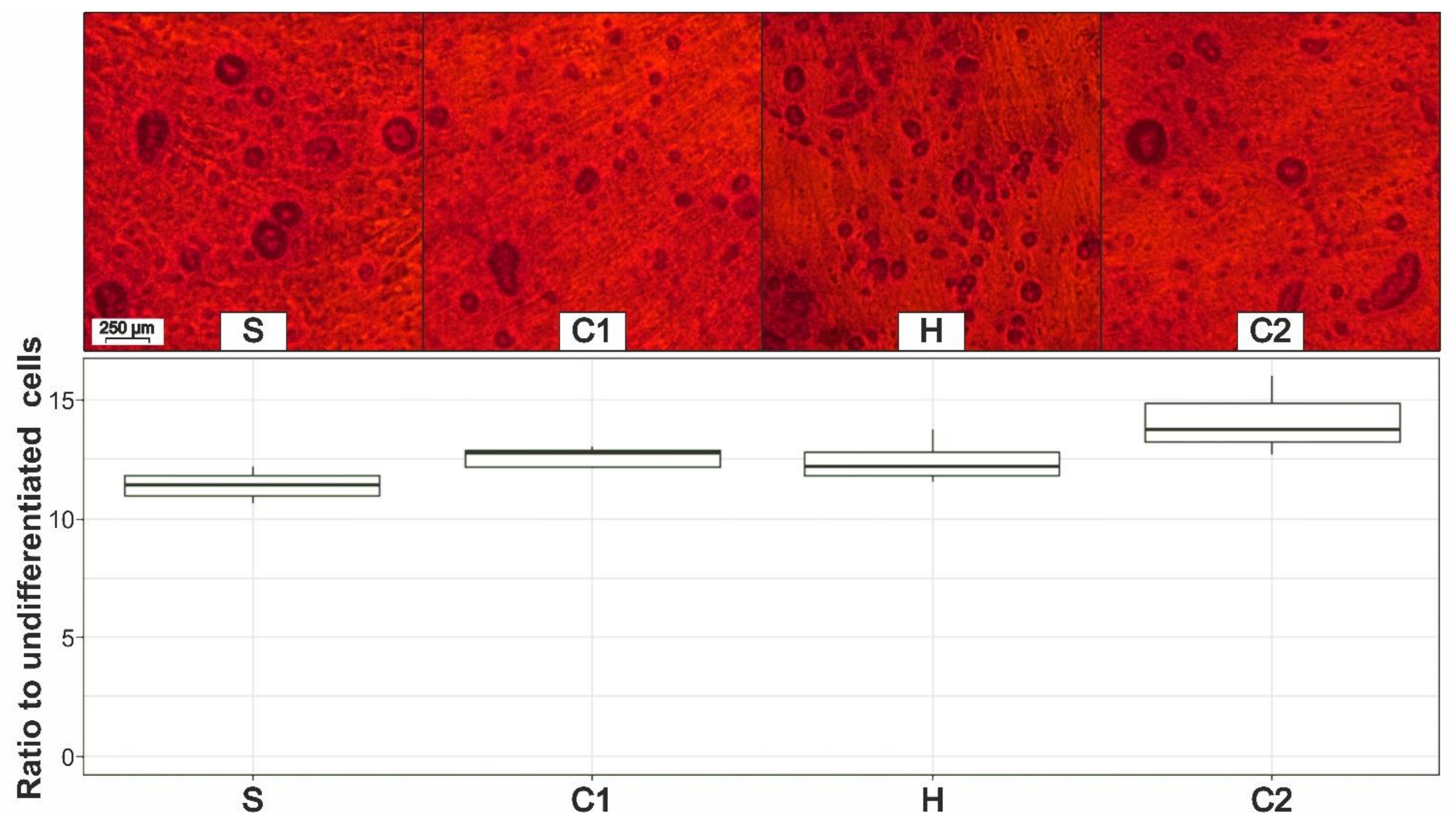 Cells 11 02543 g007 Cells 11 02543 g007