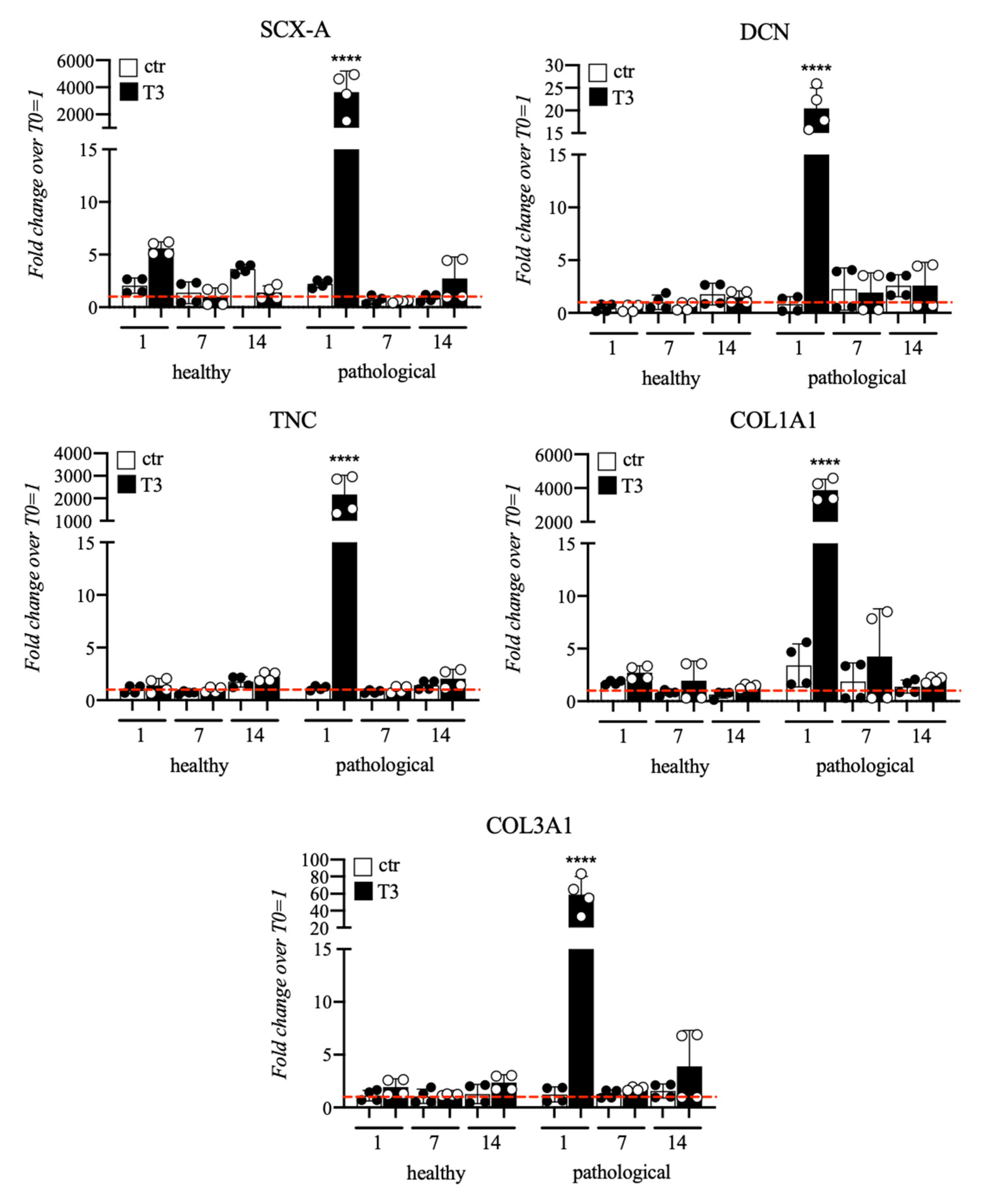 Cells 11 02545 g005