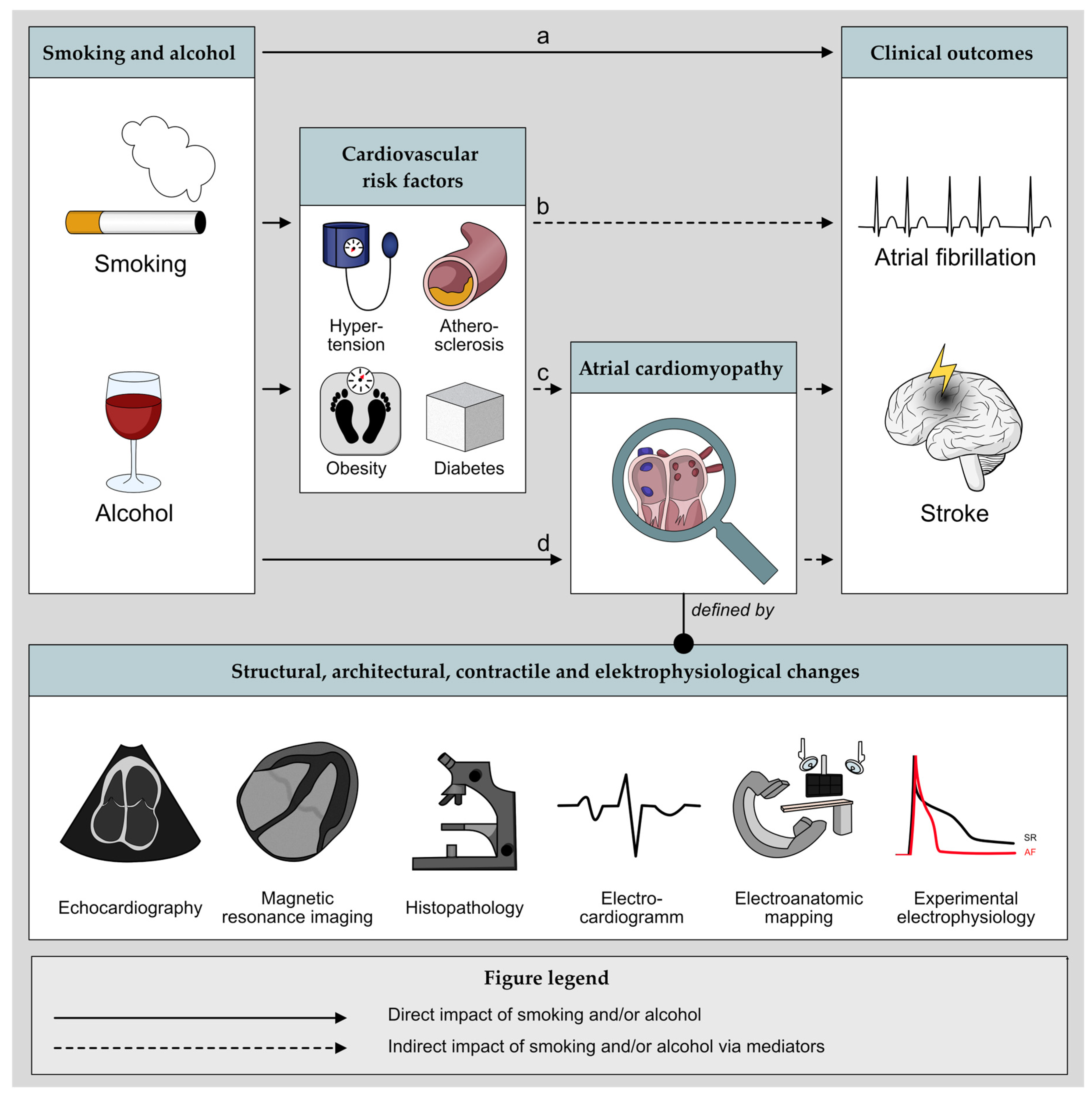 Cells 11 02576 g001 Cells 11 02576 g001