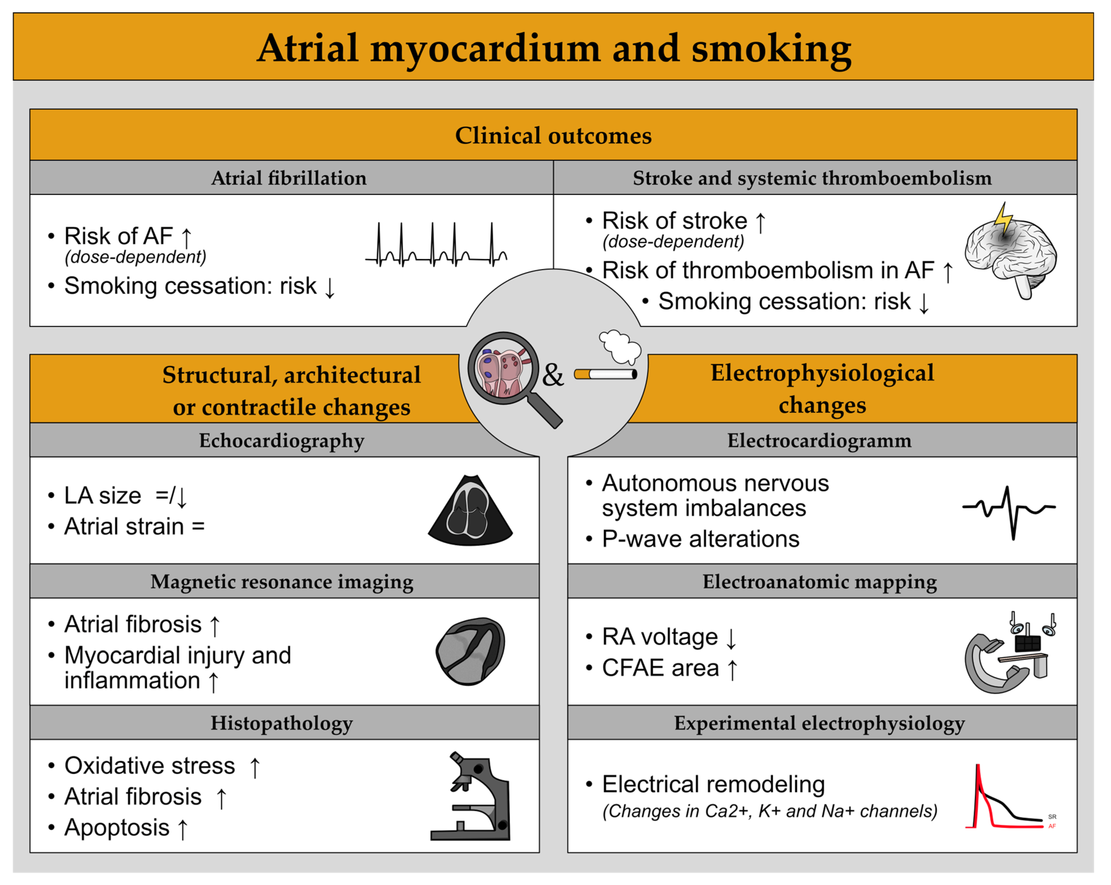 Cells | Free Full-Text | Harmful Impact of Tobacco Smoking and