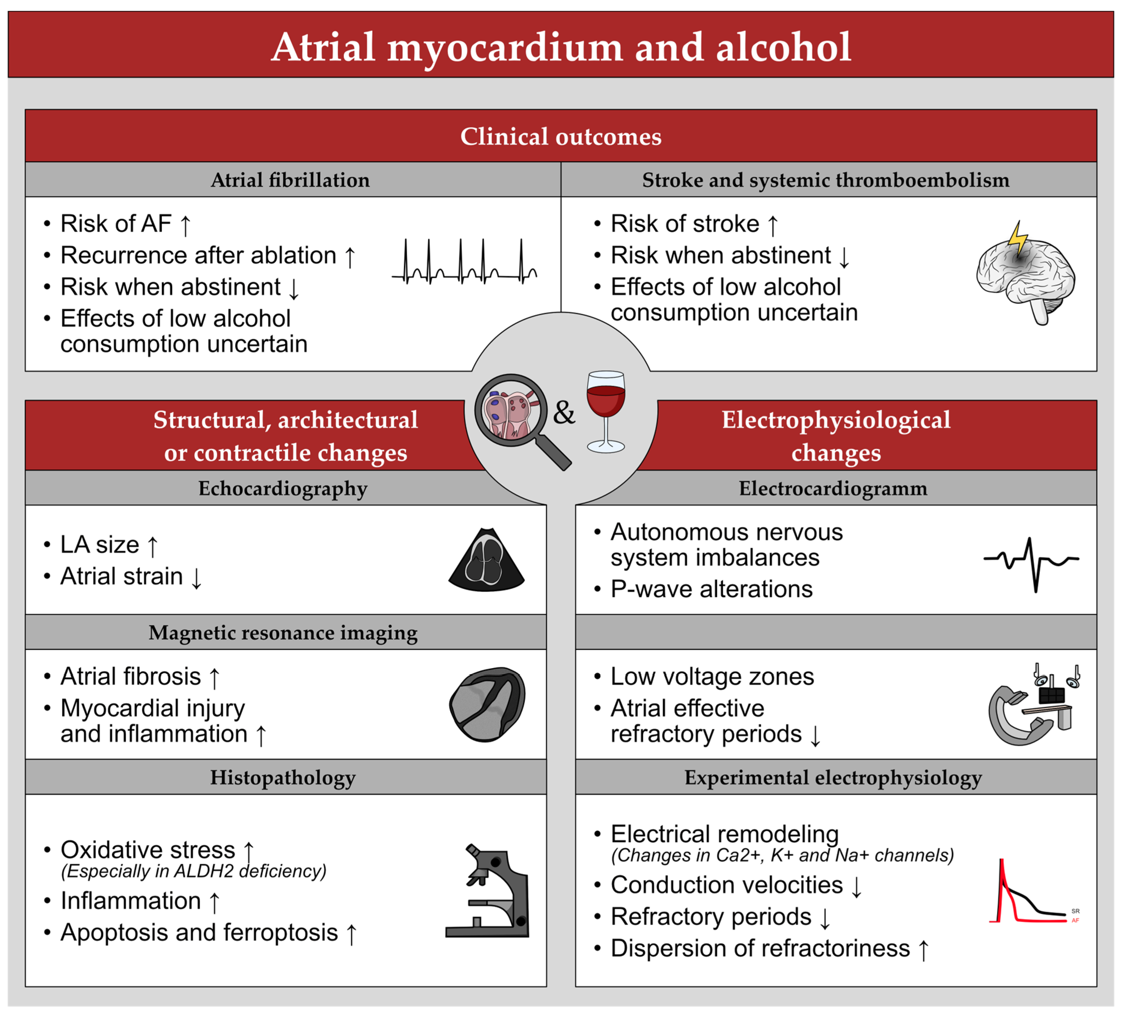 Cells 11 02576 g004 Cells 11 02576 g004