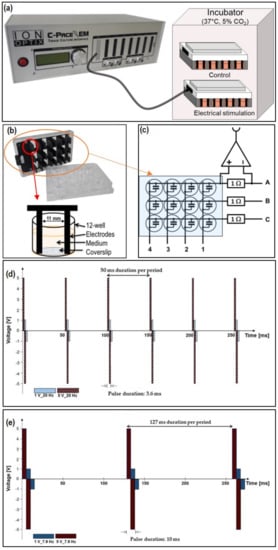 Electrical Stimulation in Bone Healing: Critical Analysis by