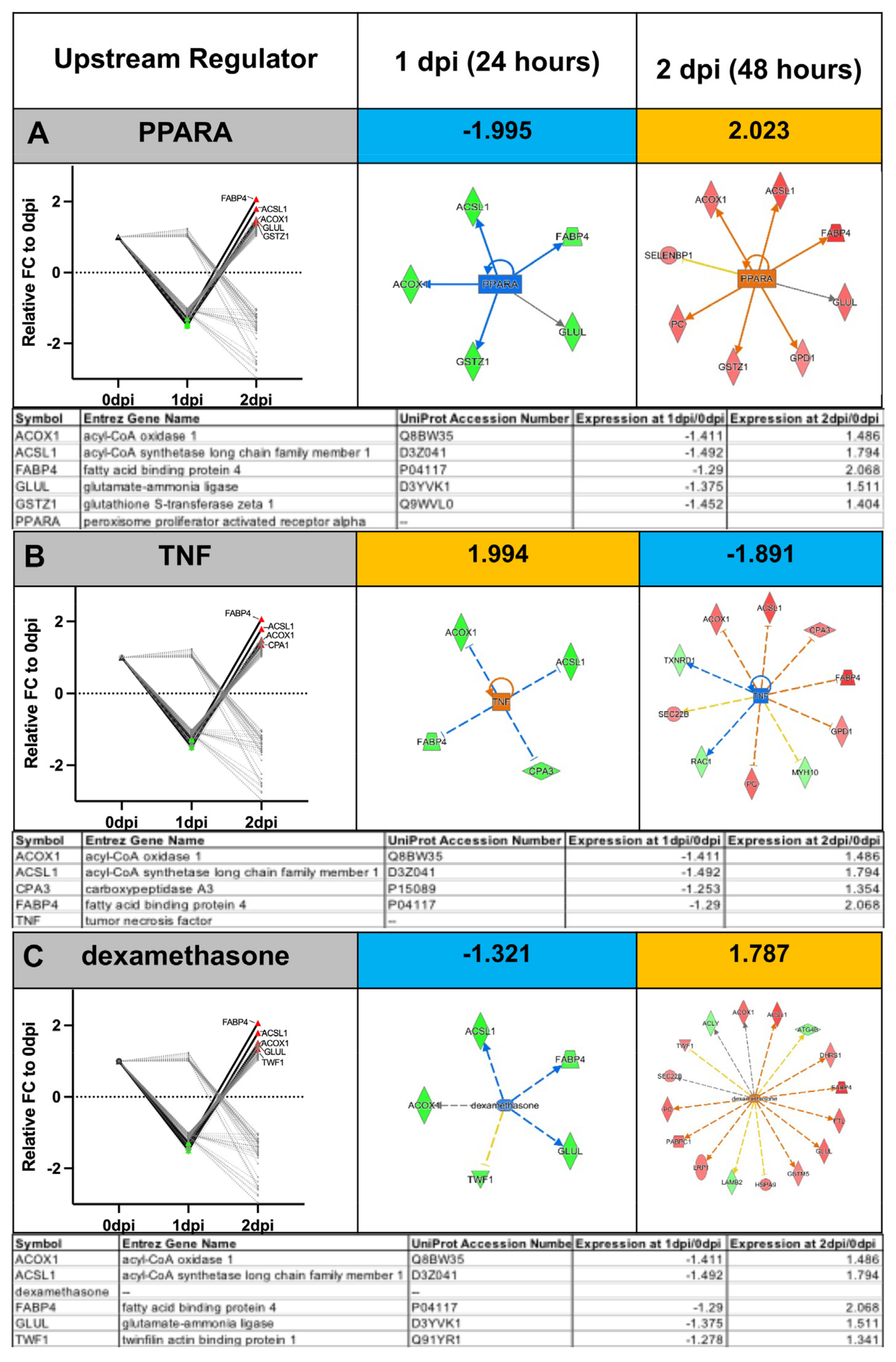Cells 11 02653 g0a2 Cells 11 02653 g0a2
