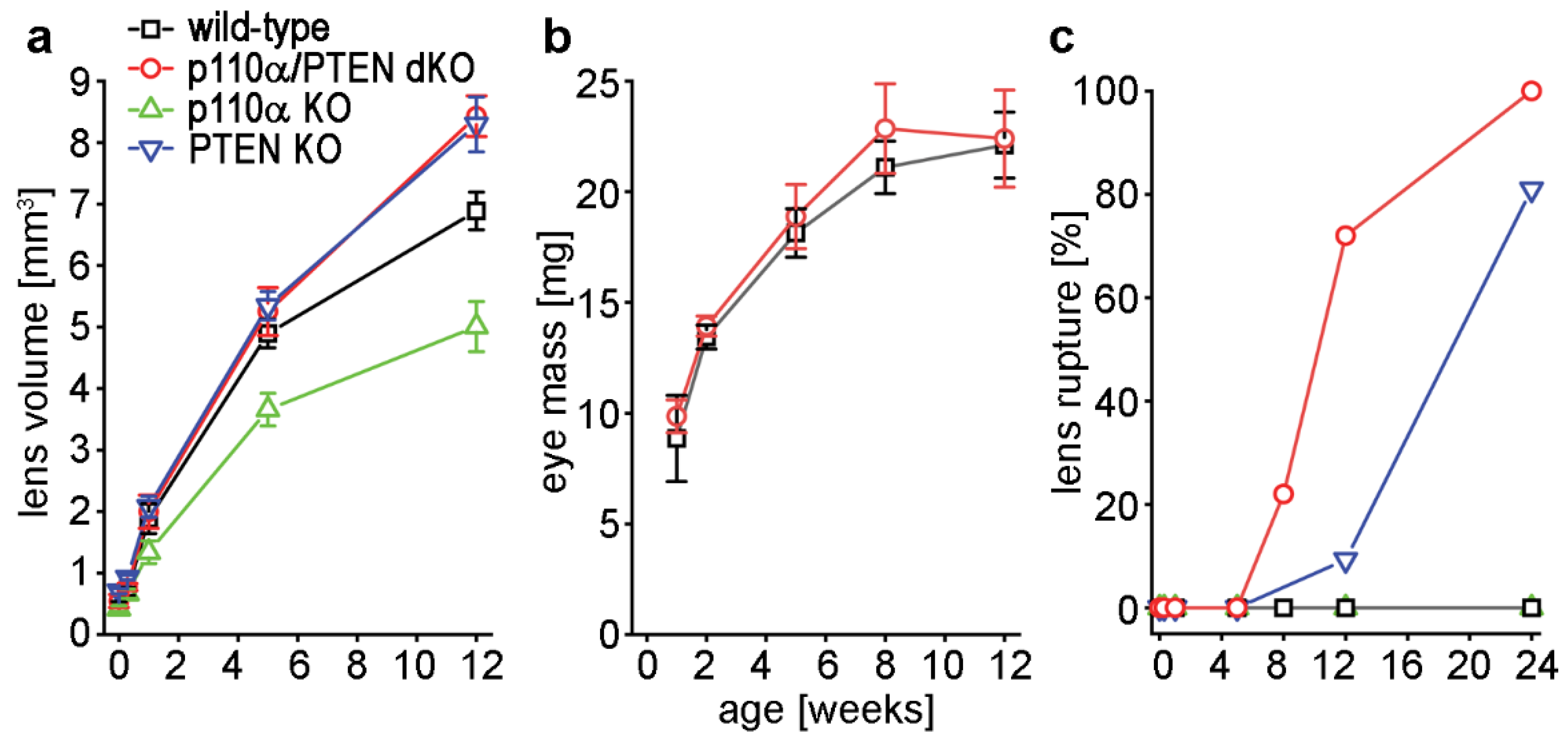 Cells 11 02708 g002 Cells 11 02708 g002