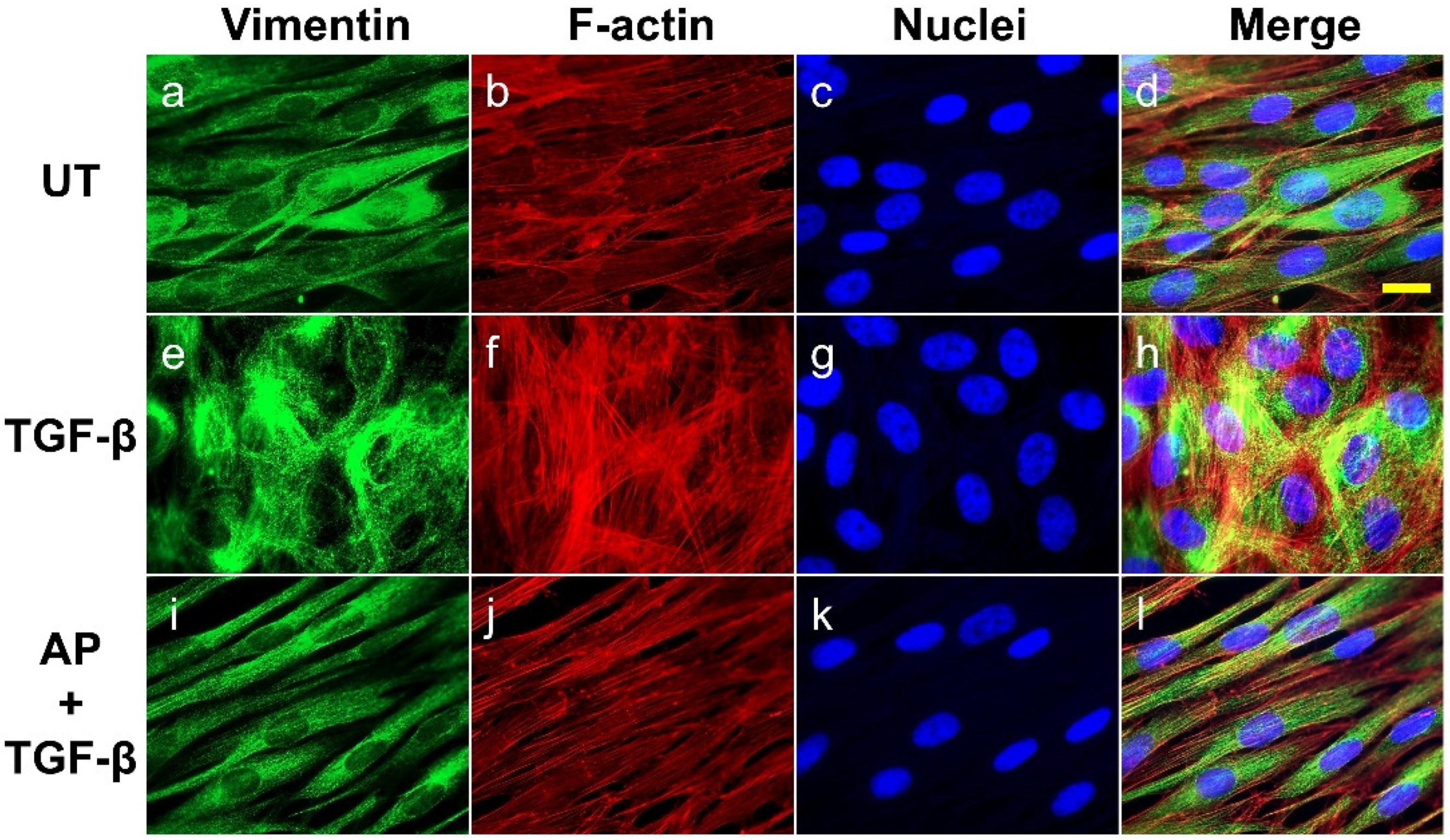 Cells 11 02731 g006
