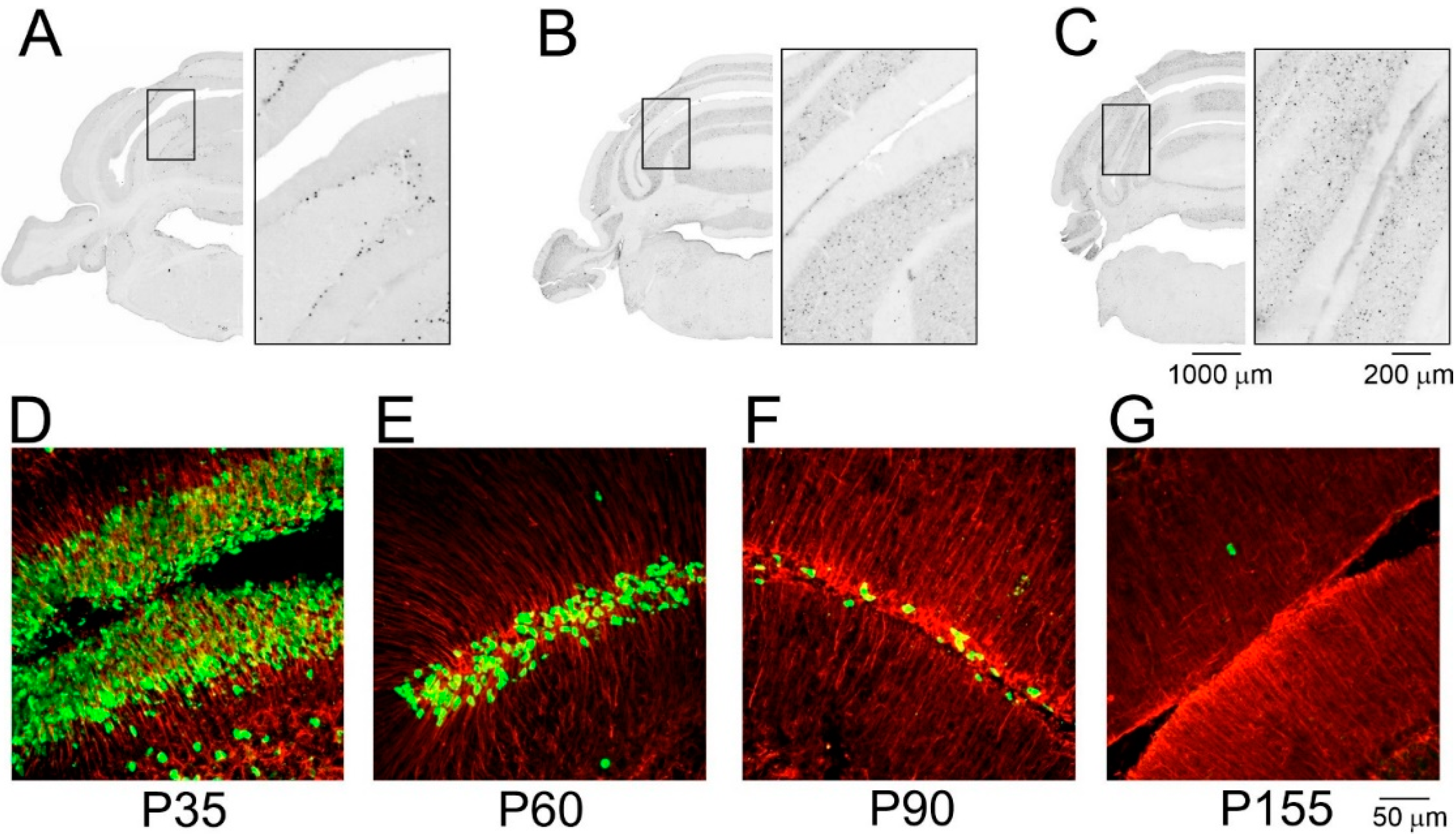 Cells 11 02735 g002 Cells 11 02735 g002