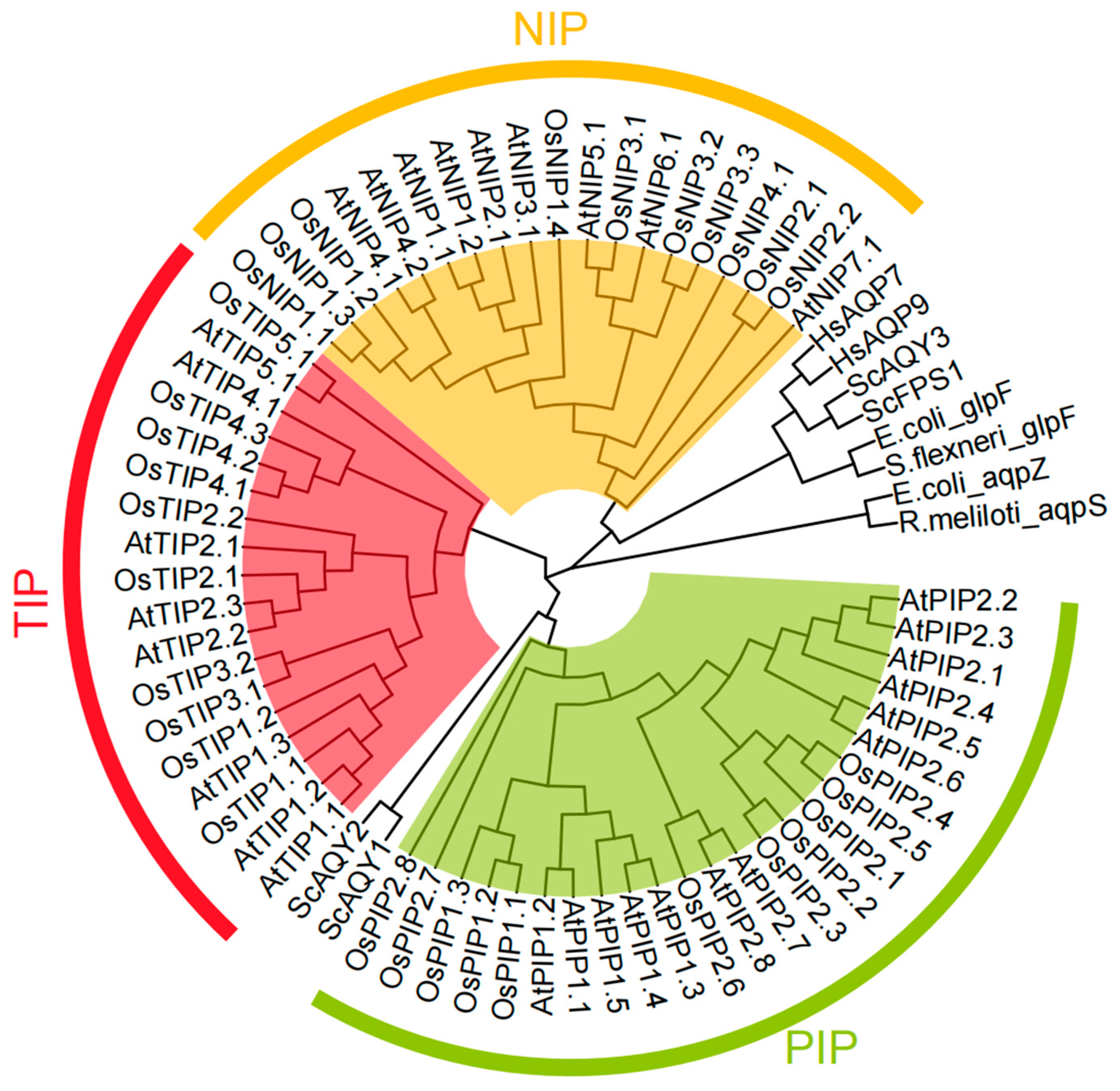Cells 11 02741 g002 Cells 11 02741 g002