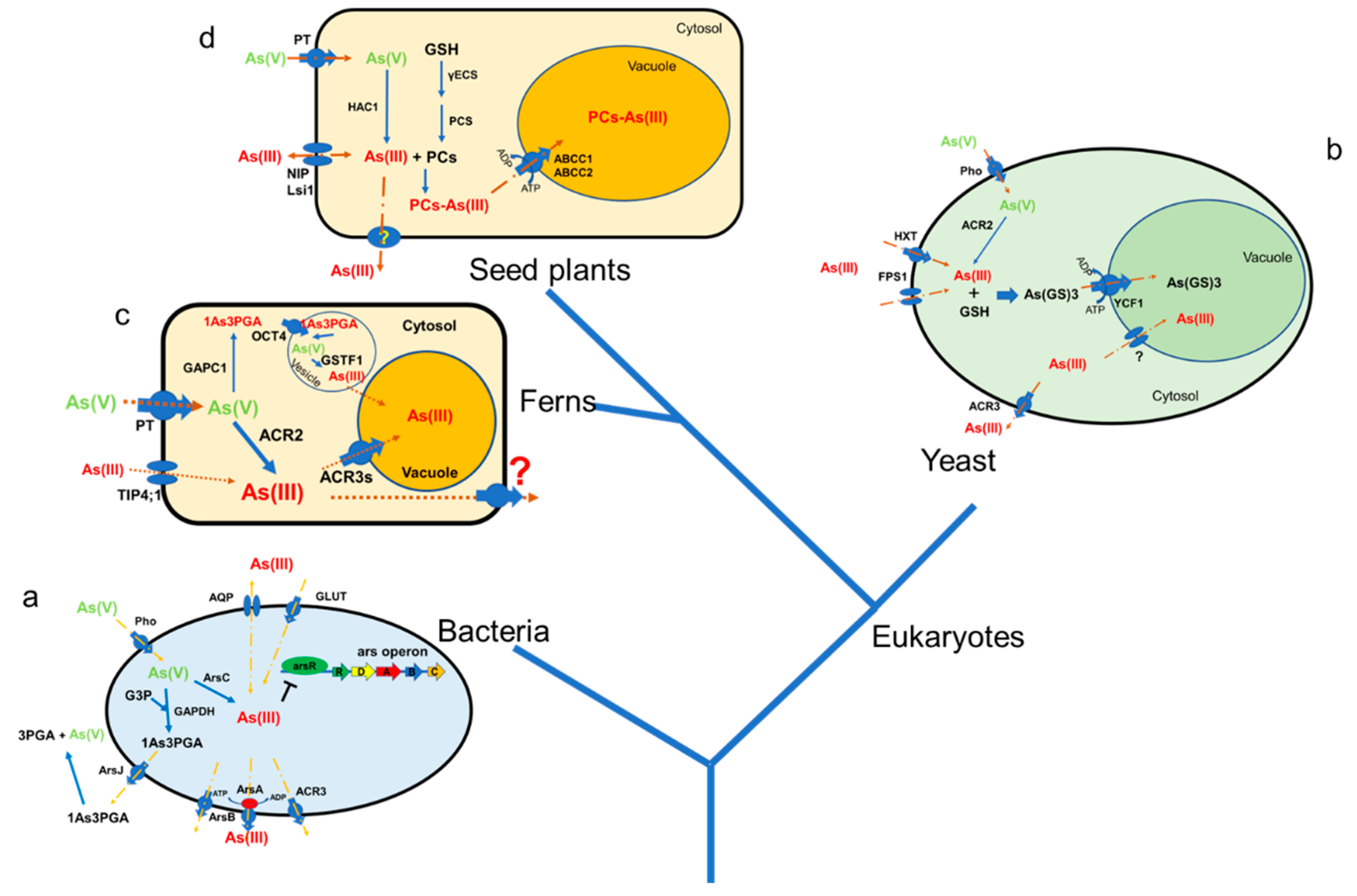 Cells 11 02741 g003 Cells 11 02741 g003