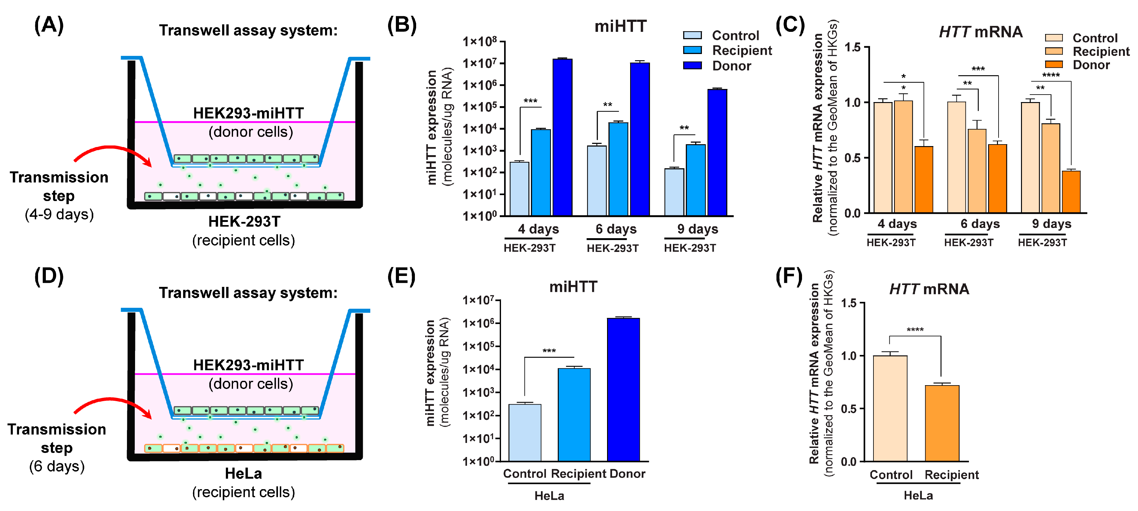 Cells | Free Full-Text | Functional Intercellular Transmission of