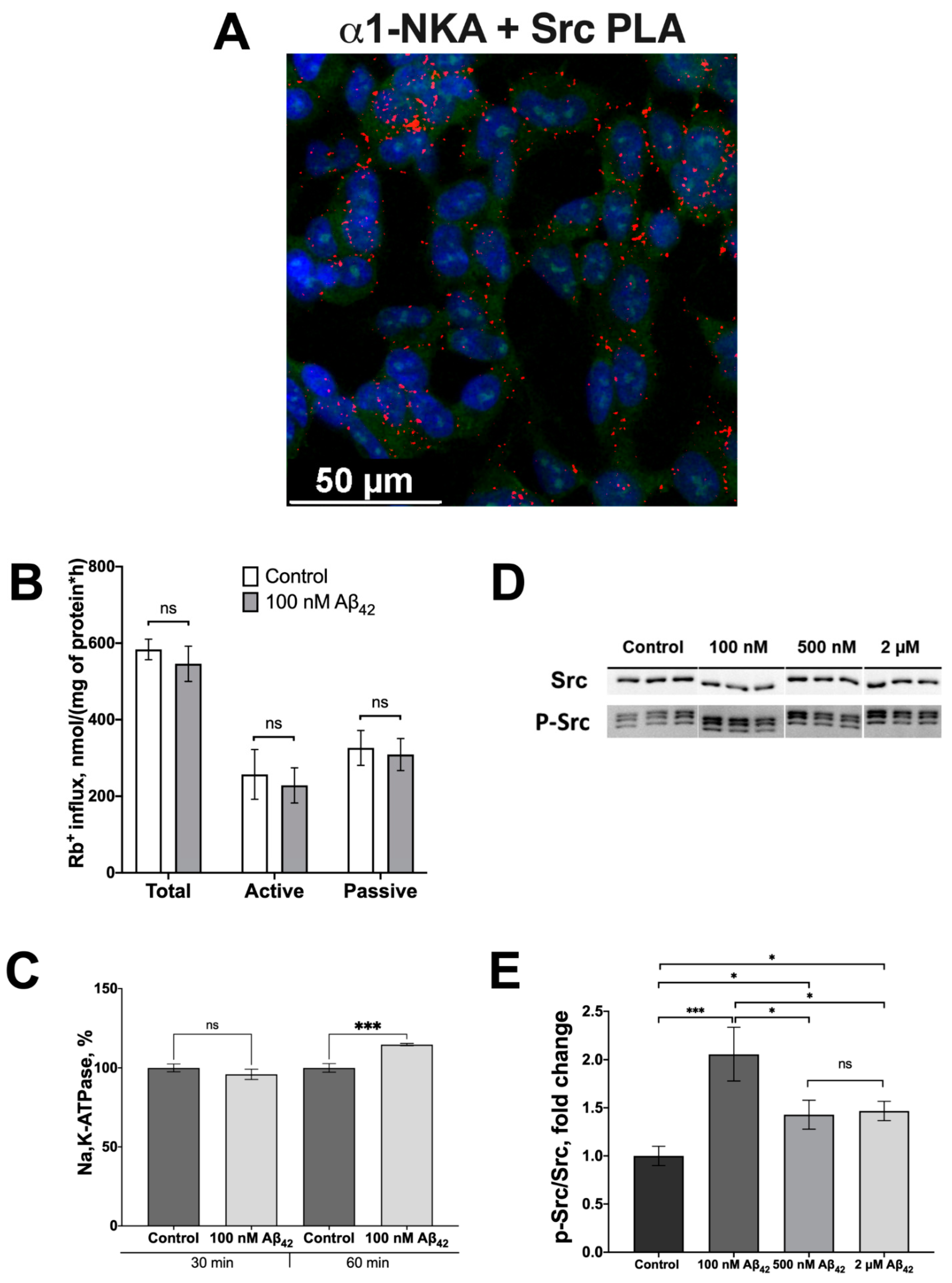 Cells 11 02753 g002