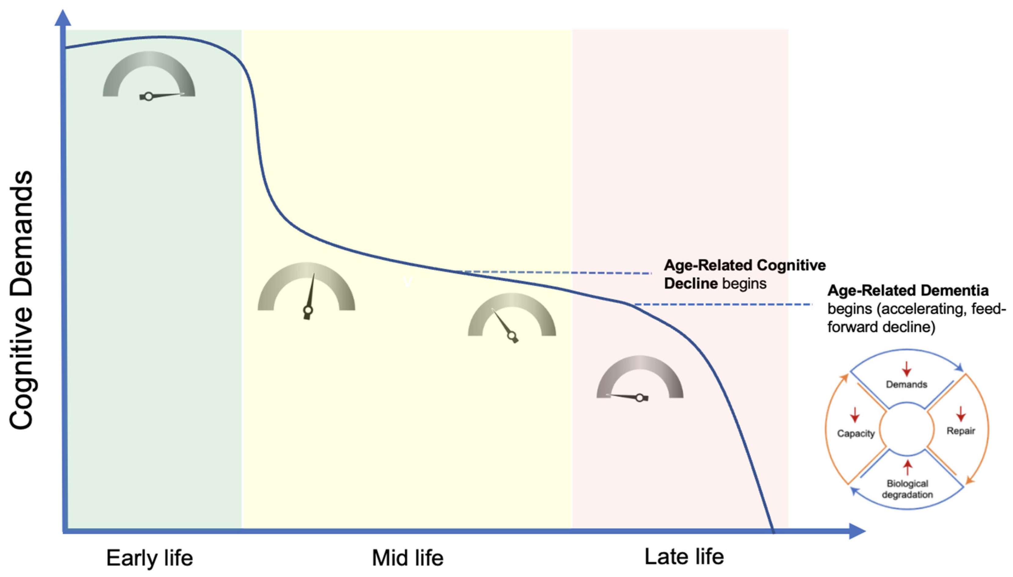 Cells Free Full Text Demand Coupling Drives Neurodegeneration