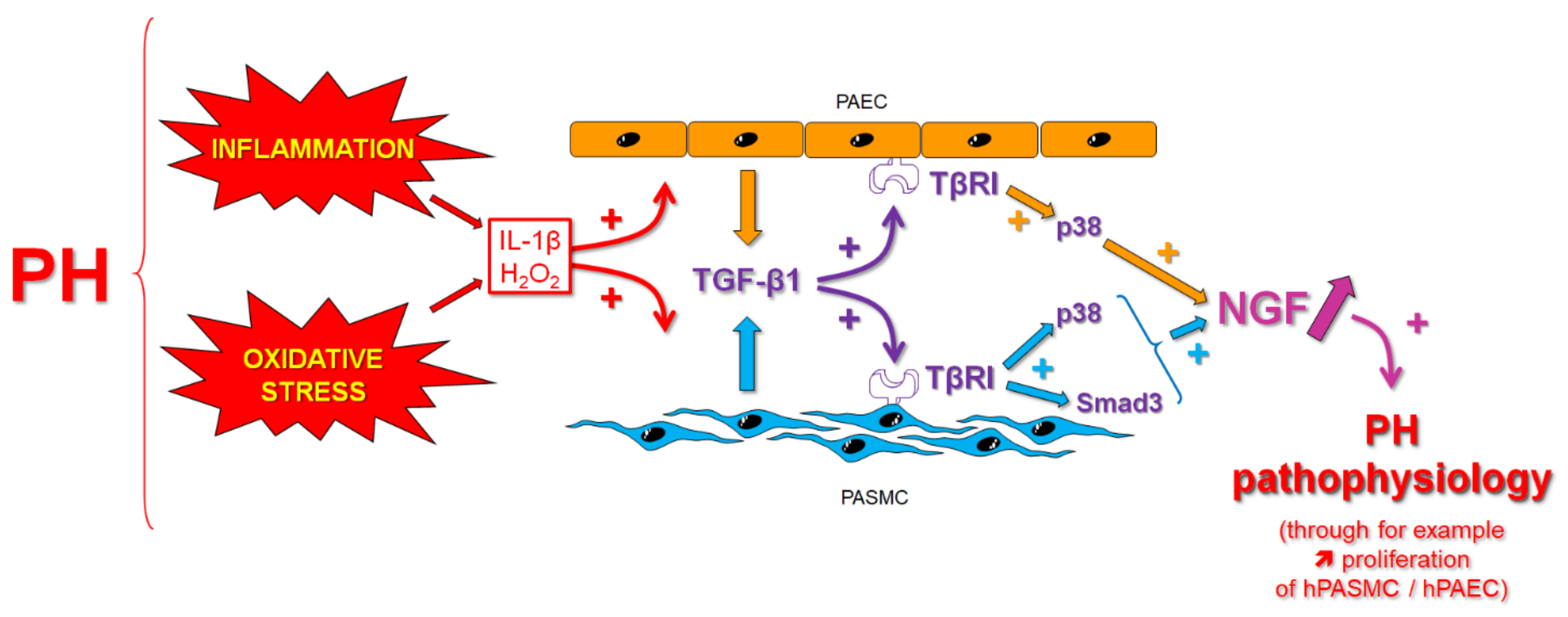 Cells 11 02795 g009 Cells 11 02795 g009
